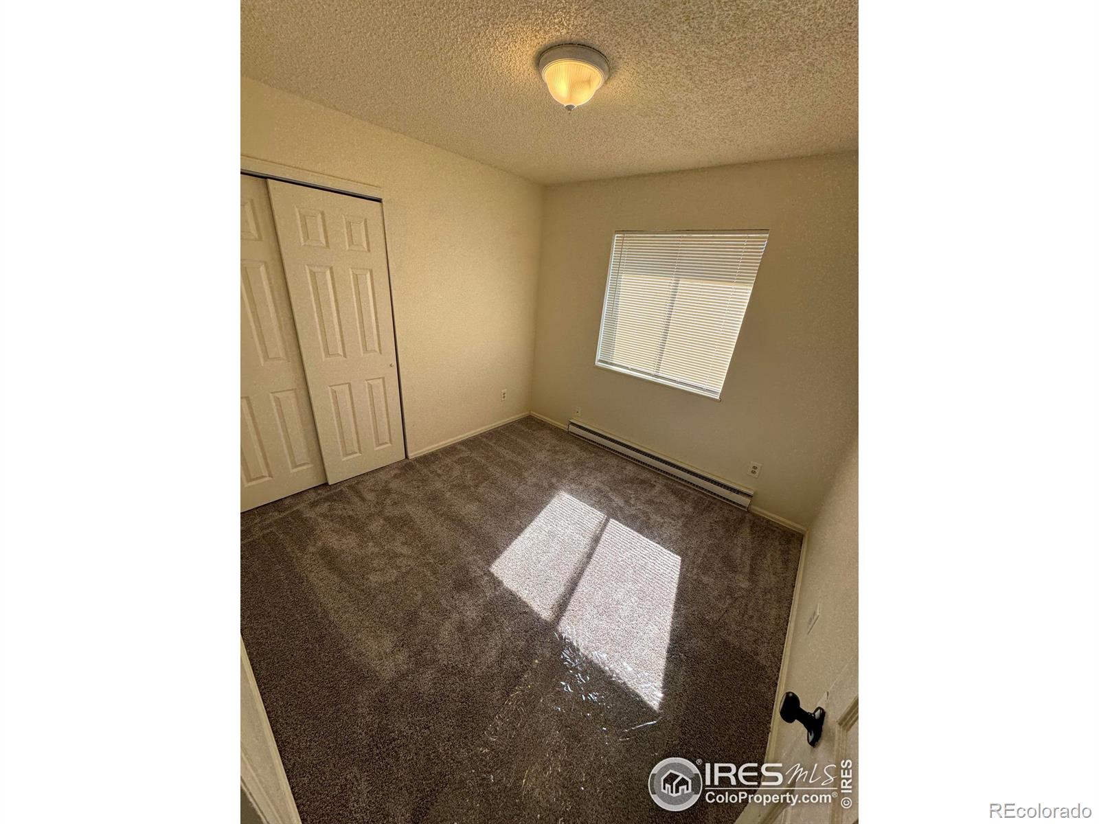 MLS Image #15 for 2241  dexter drive,longmont, Colorado