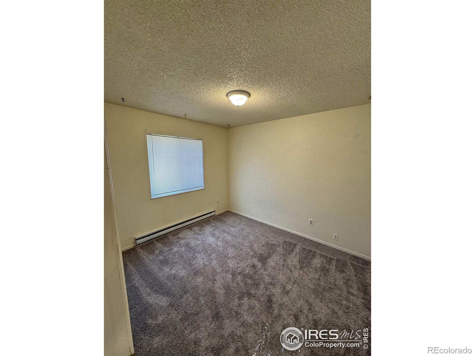 MLS Image #16 for 2241  dexter drive,longmont, Colorado
