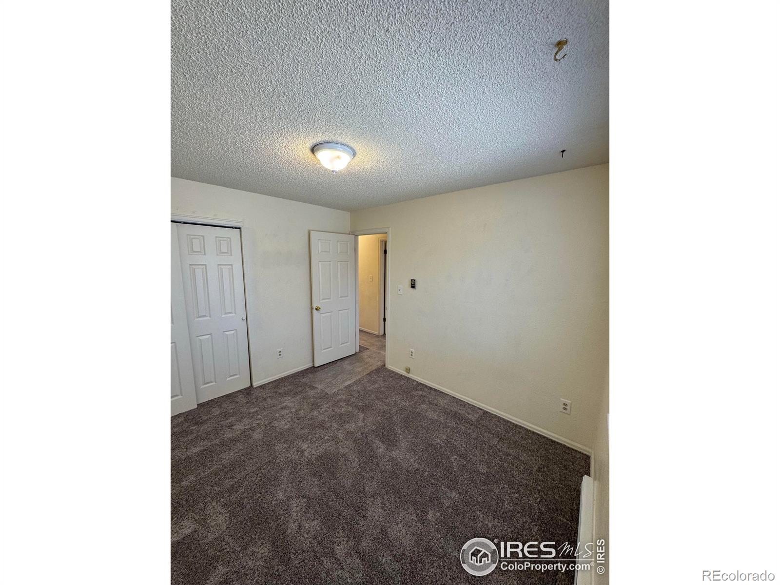 MLS Image #17 for 2241  dexter drive,longmont, Colorado