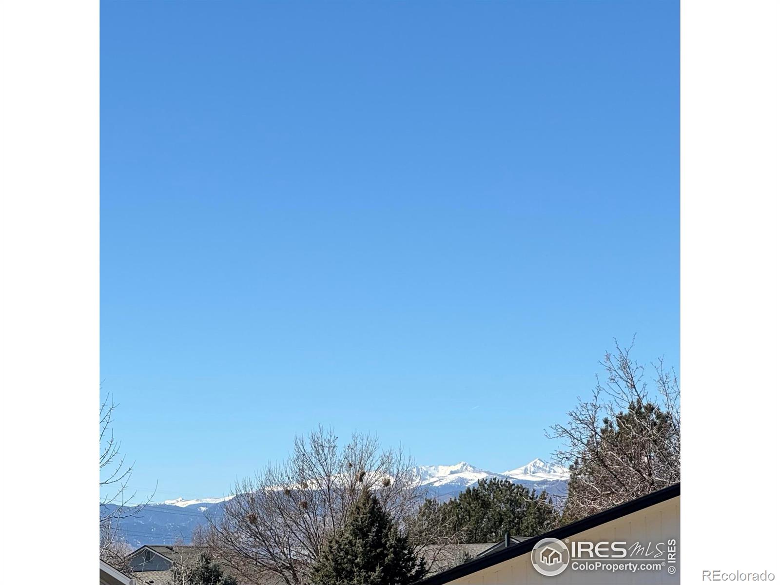 MLS Image #24 for 2241  dexter drive,longmont, Colorado
