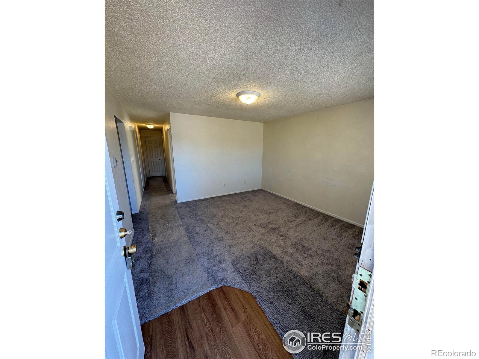 MLS Image #8 for 2241  dexter drive,longmont, Colorado