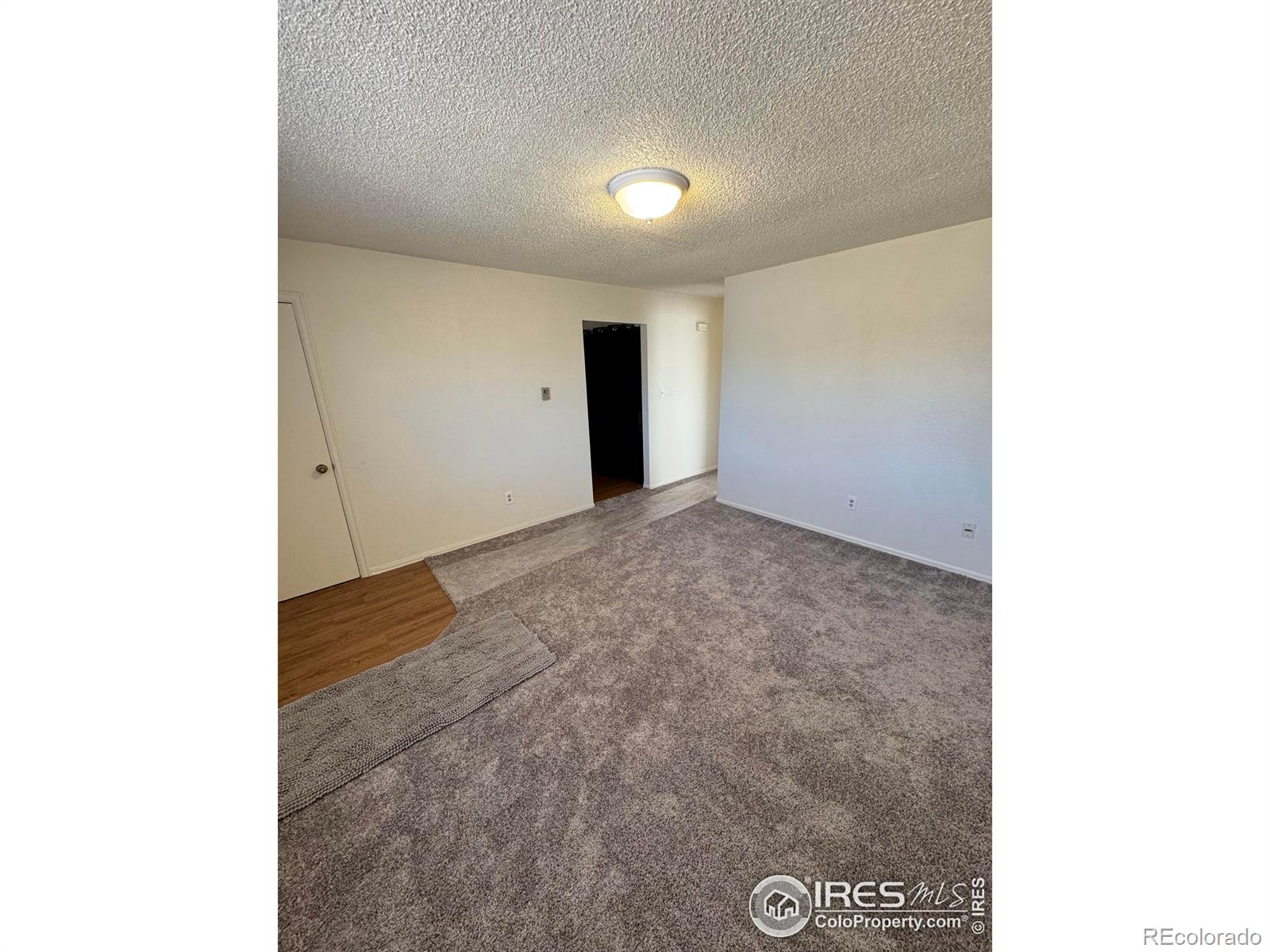 MLS Image #9 for 2241  dexter drive,longmont, Colorado