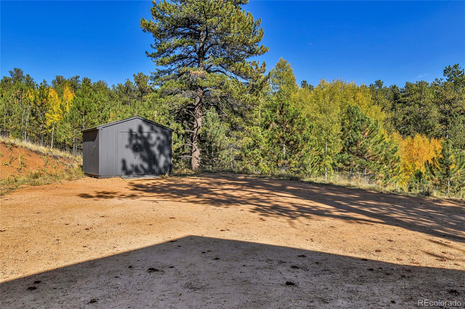MLS Image #32 for 311  nellie road,bailey, Colorado