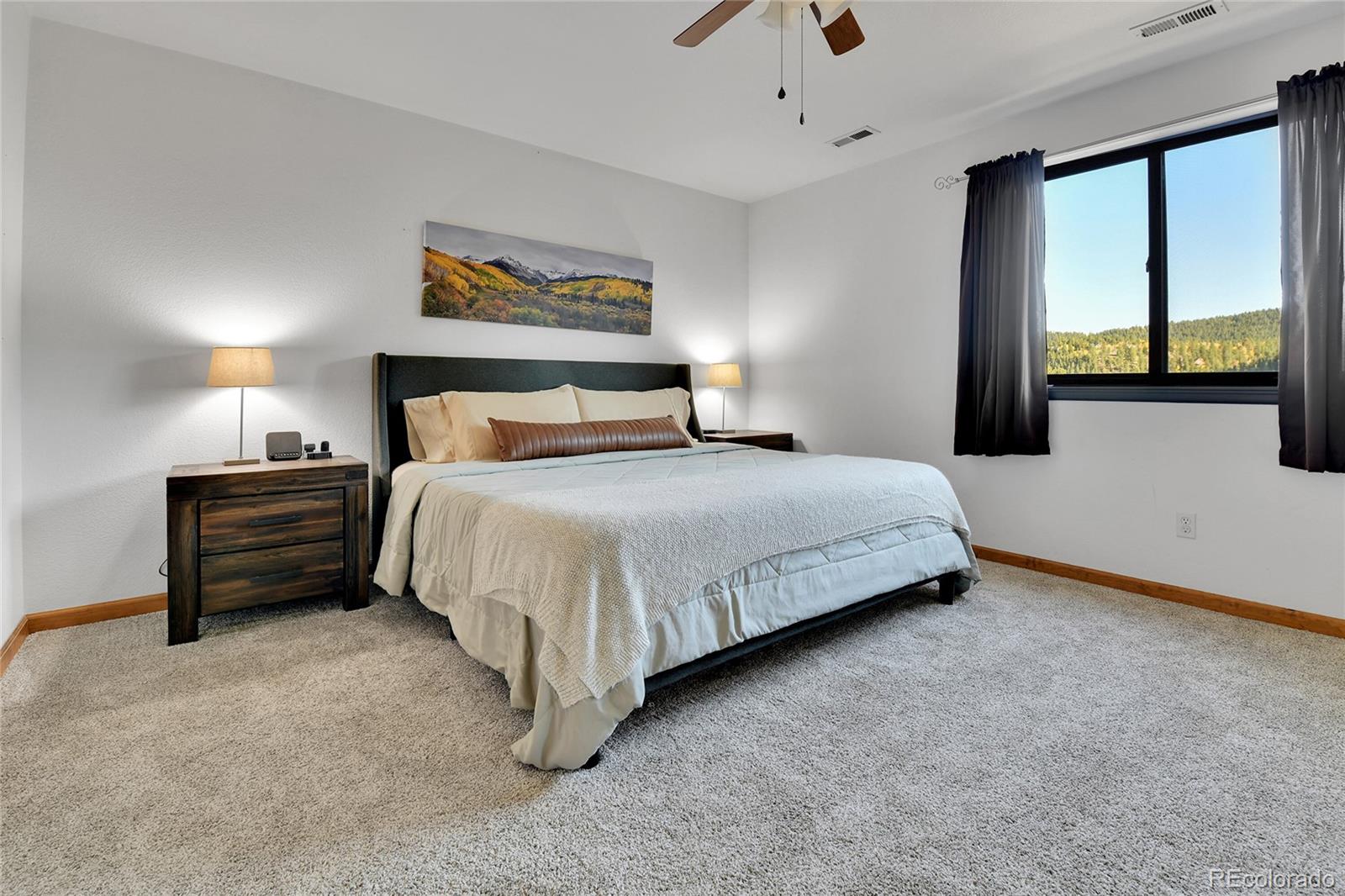 MLS Image #4 for 311  nellie road,bailey, Colorado