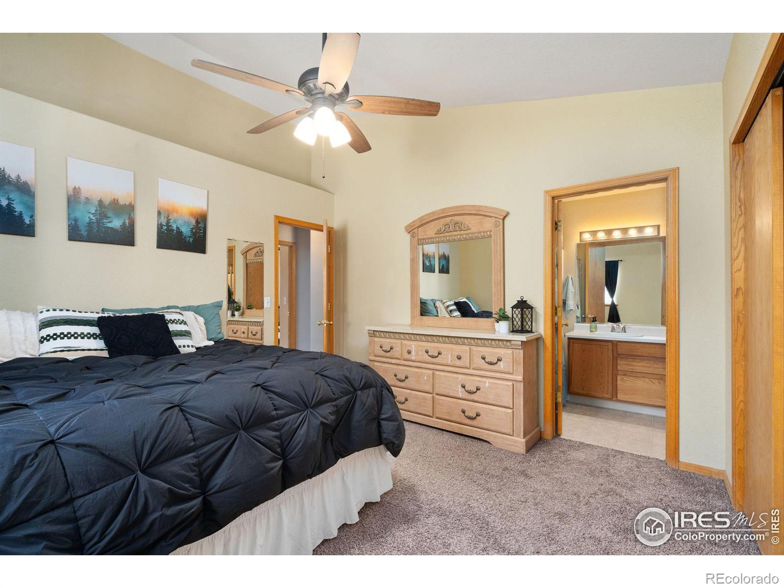 MLS Image #21 for 432  la costa lane,johnstown, Colorado