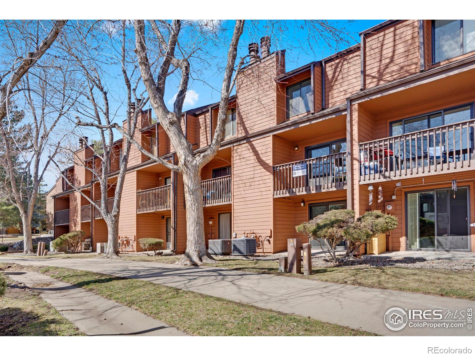 MLS Image #32 for 449  wright street,lakewood, Colorado