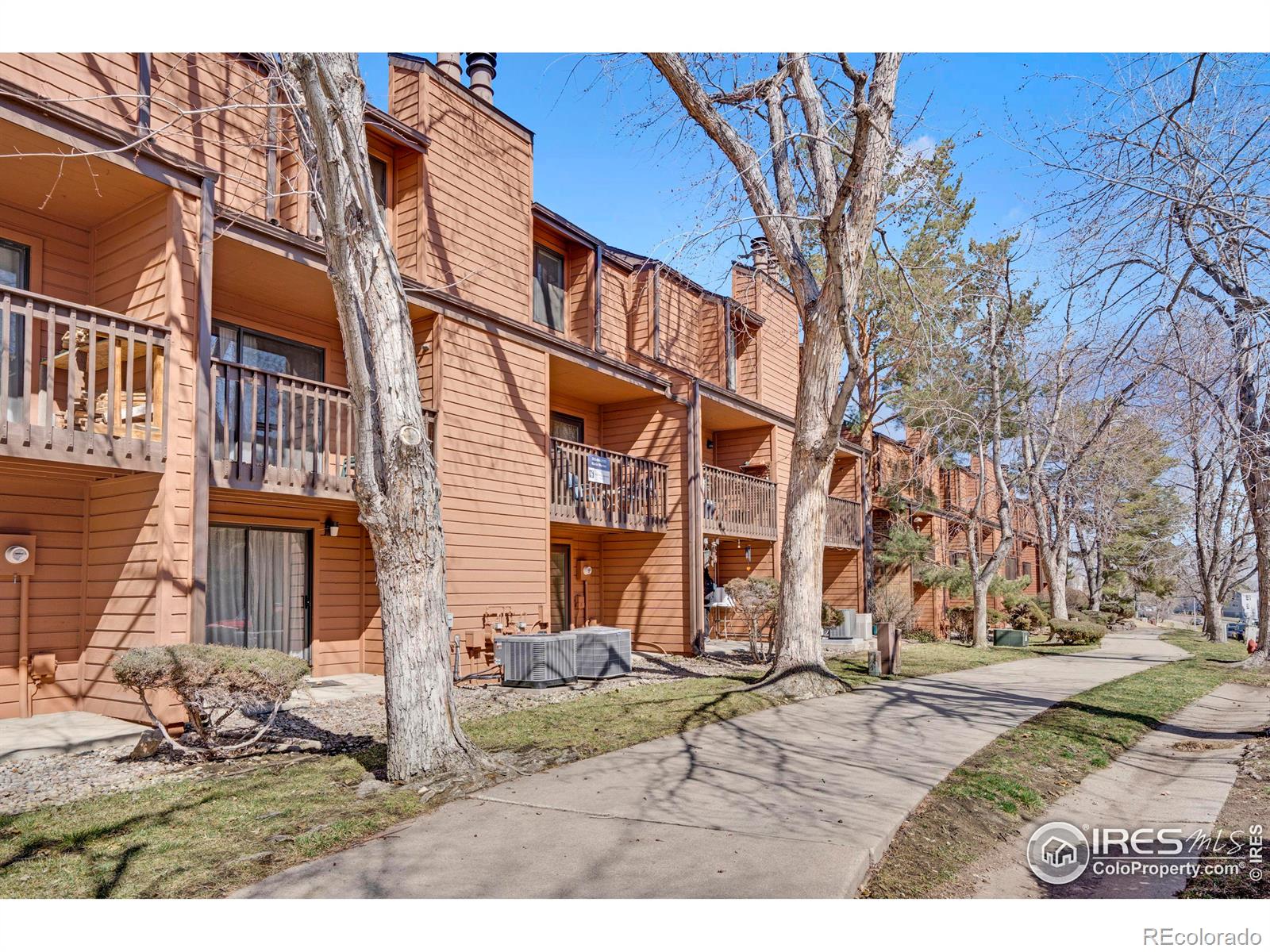 MLS Image #33 for 449  wright street,lakewood, Colorado