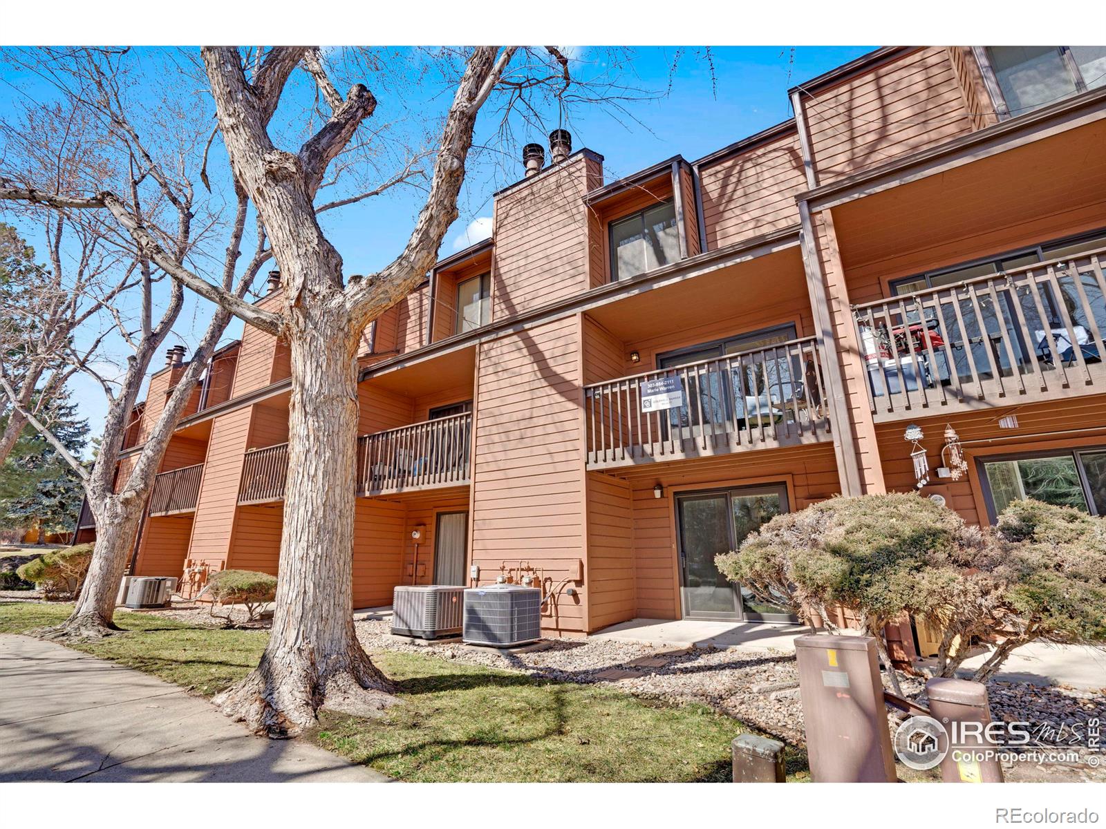 MLS Image #34 for 449  wright street,lakewood, Colorado