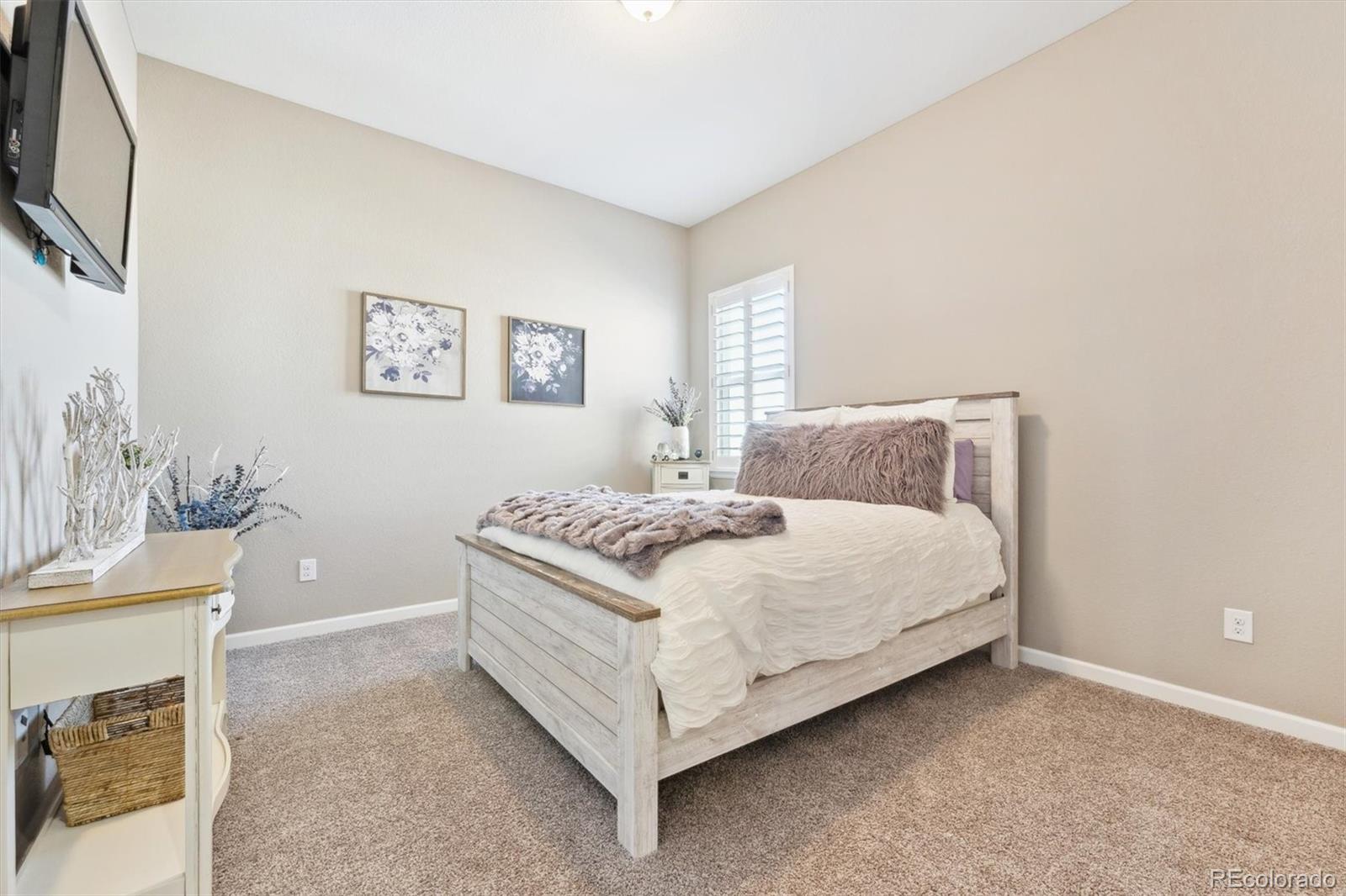 MLS Image #18 for 17890  calendula drive,parker, Colorado