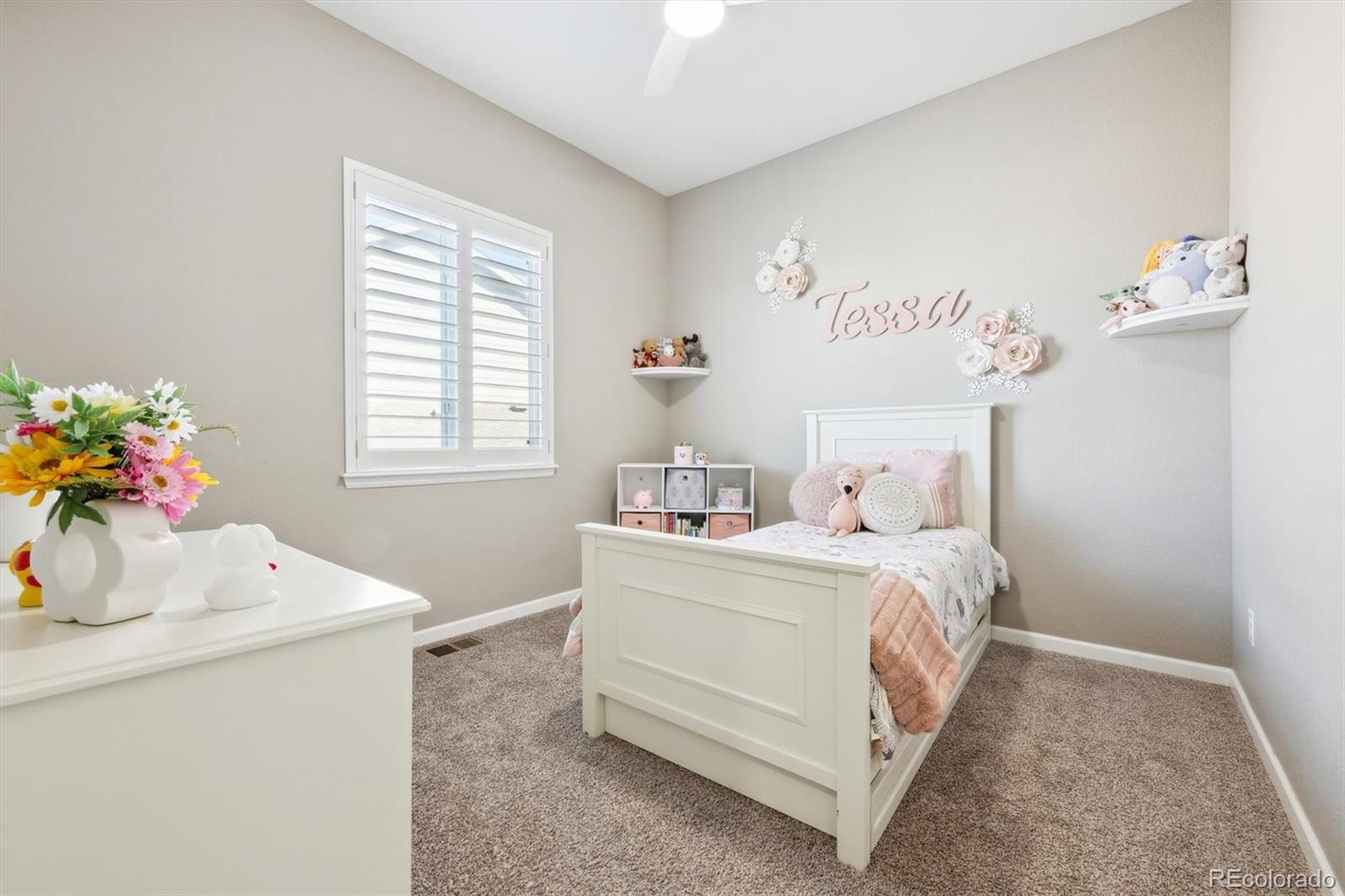 MLS Image #20 for 17890  calendula drive,parker, Colorado