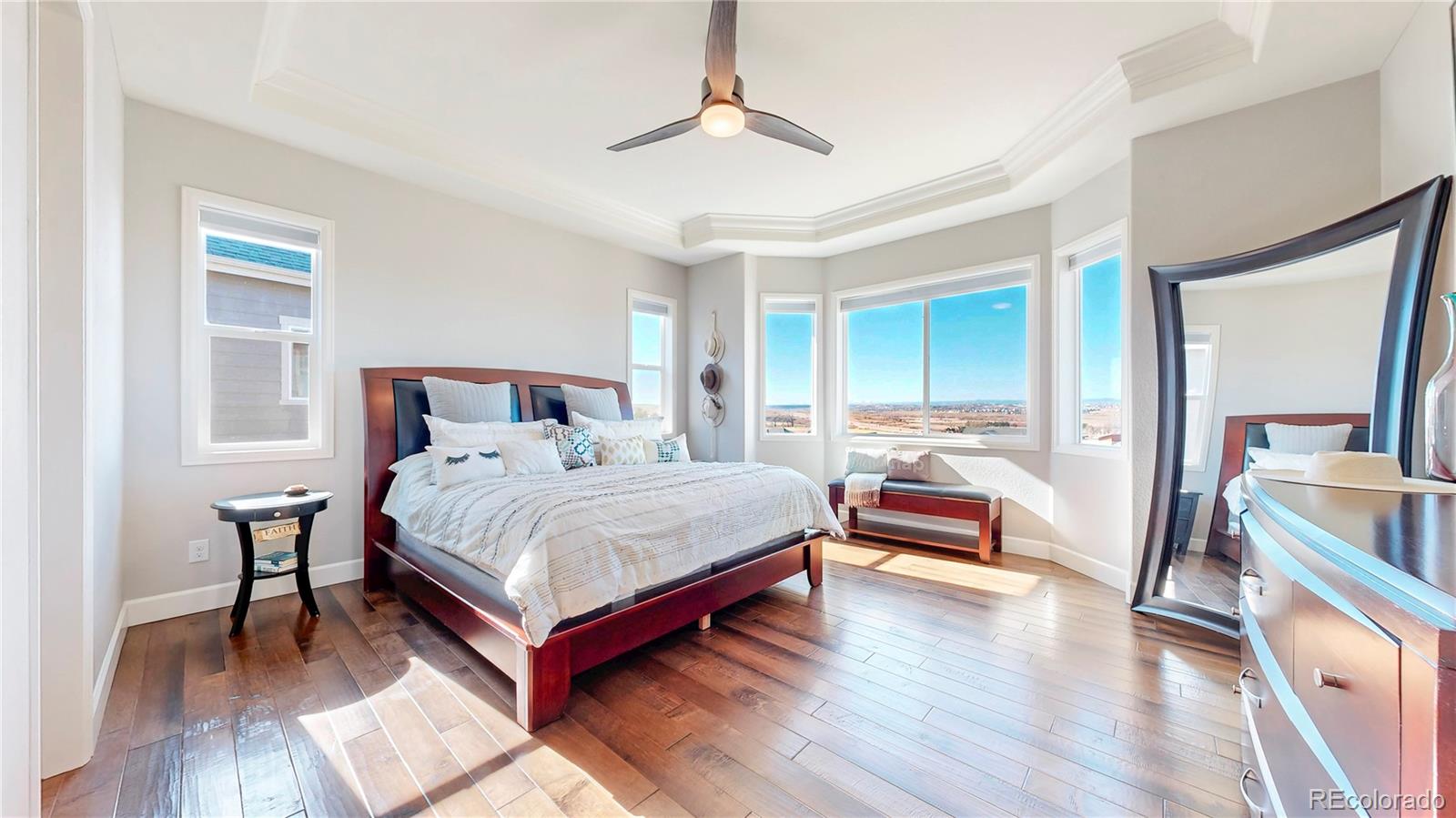 MLS Image #12 for 20249  terrace view drive,parker, Colorado