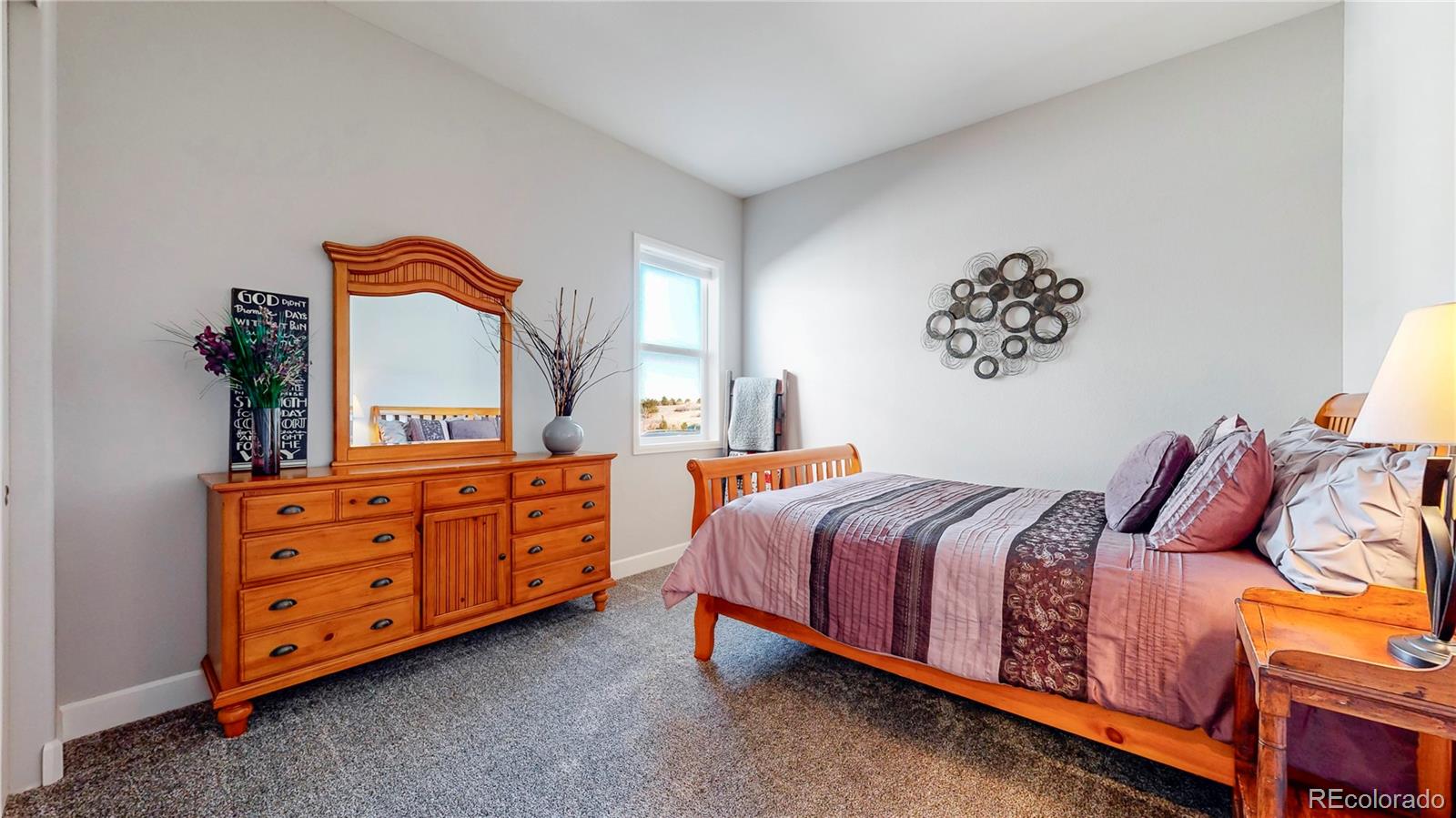 MLS Image #18 for 20249  terrace view drive,parker, Colorado