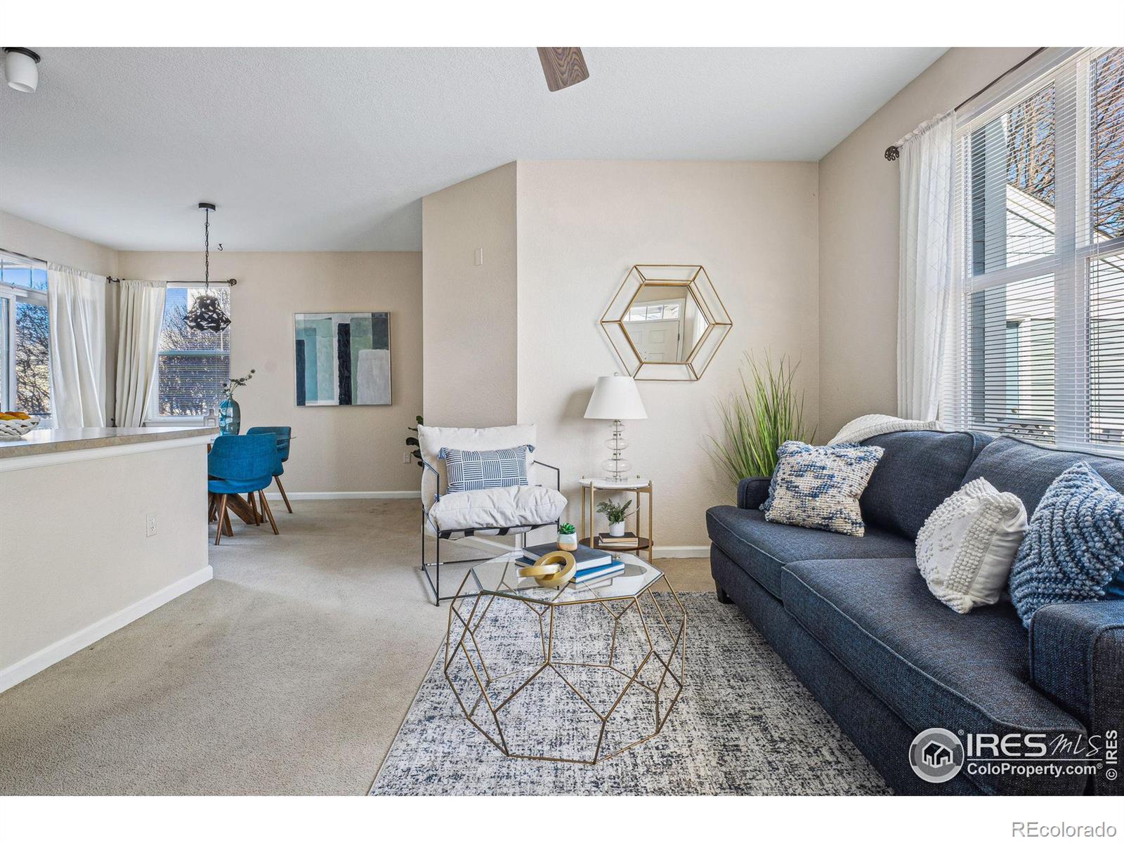 MLS Image #10 for 4501  nelson road,longmont, Colorado