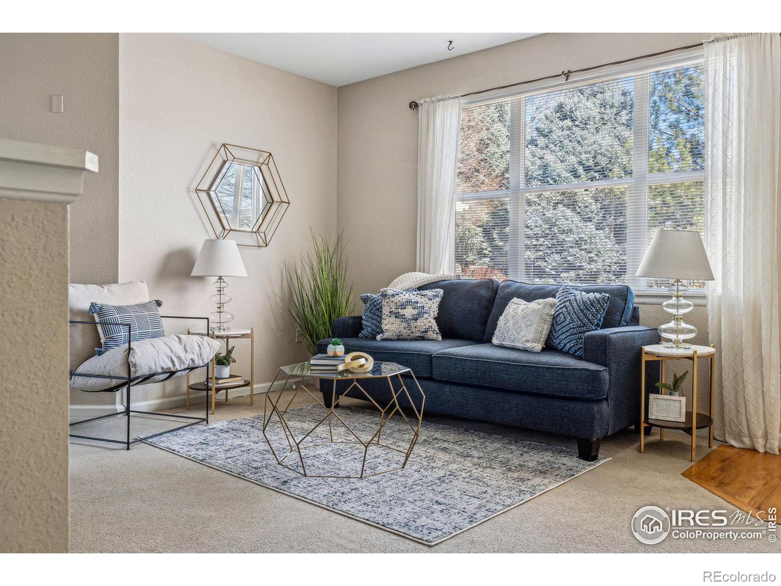 MLS Image #12 for 4501  nelson road,longmont, Colorado