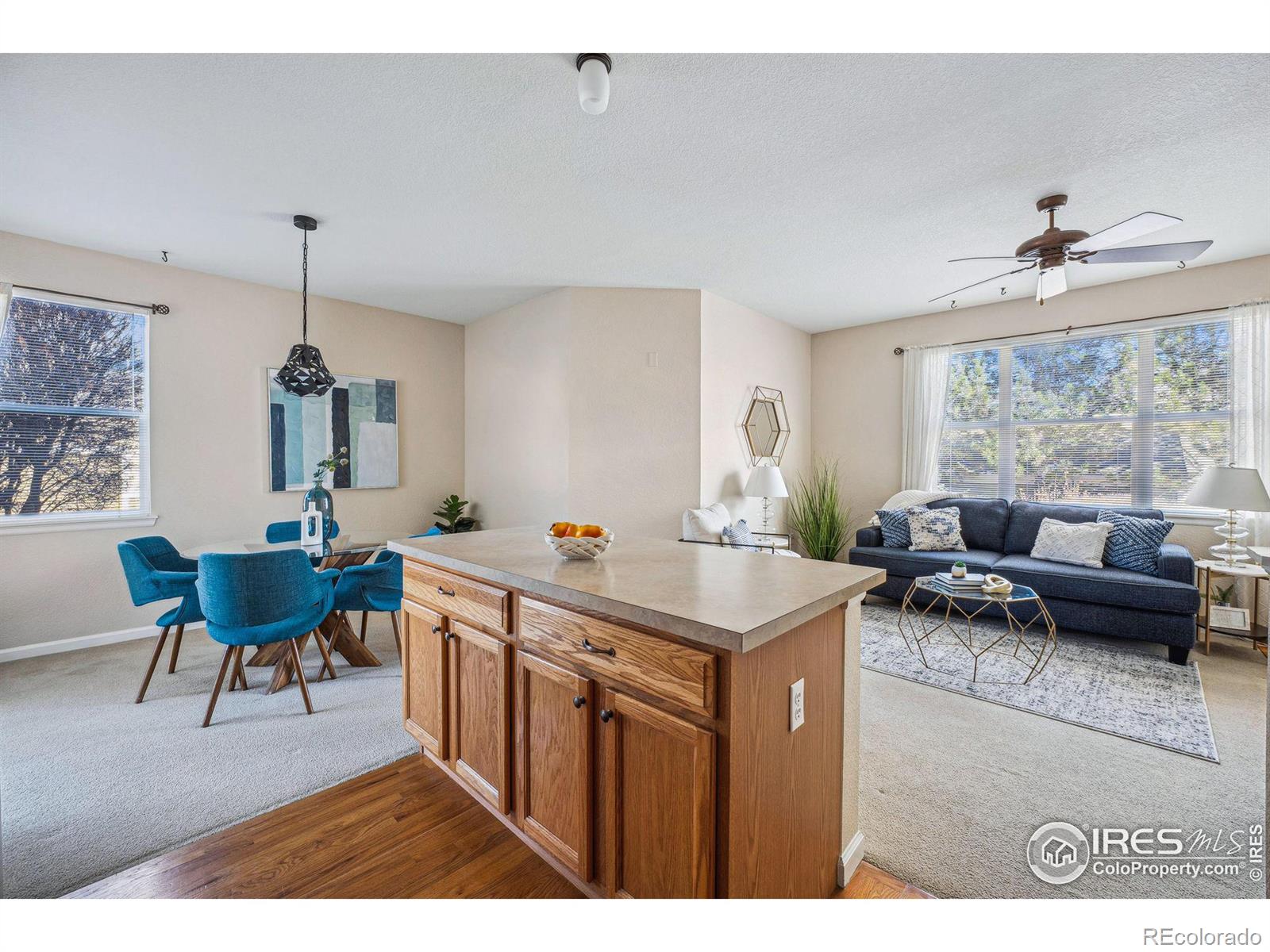 MLS Image #17 for 4501  nelson road,longmont, Colorado