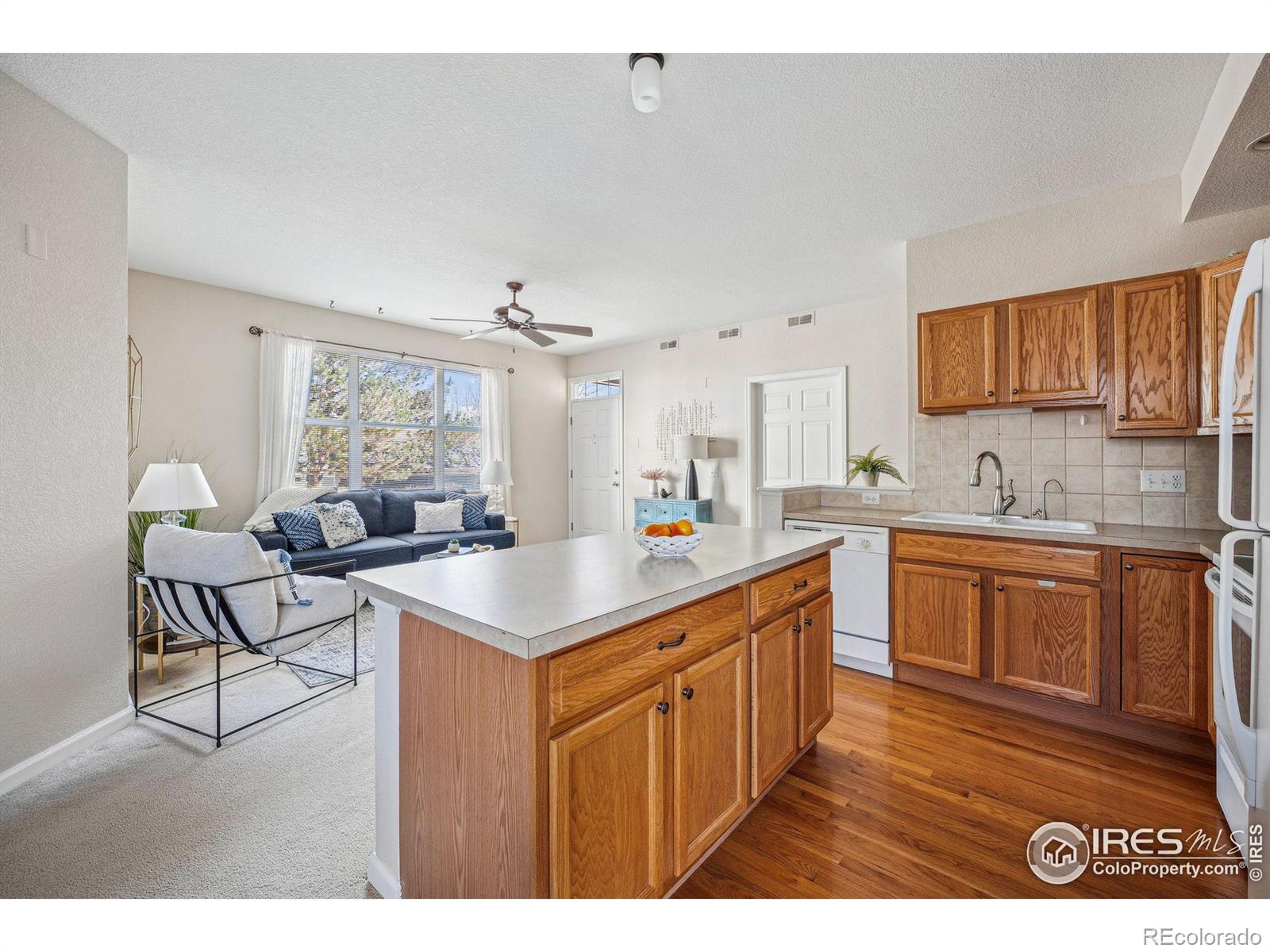 MLS Image #18 for 4501  nelson road,longmont, Colorado