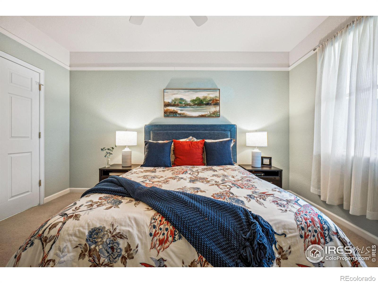 MLS Image #20 for 4501  nelson road,longmont, Colorado
