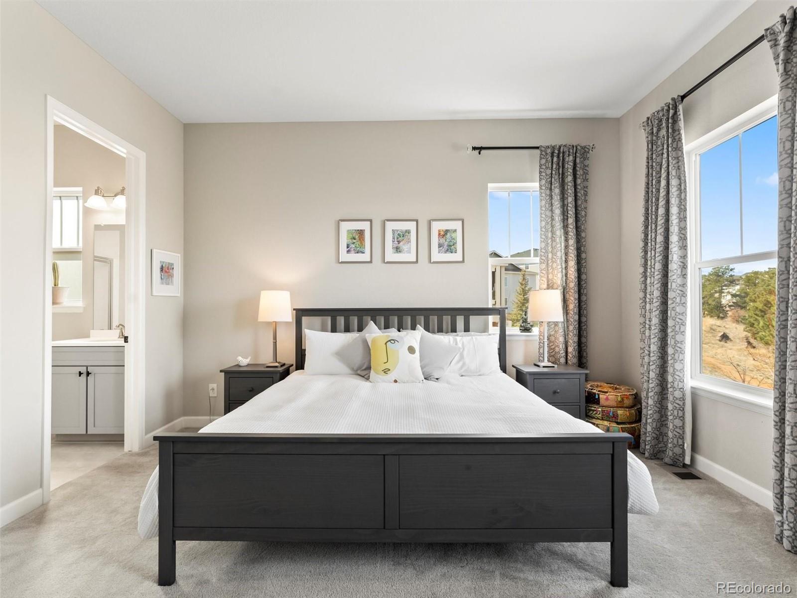 MLS Image #11 for 3131  keepsake way,castle rock, Colorado