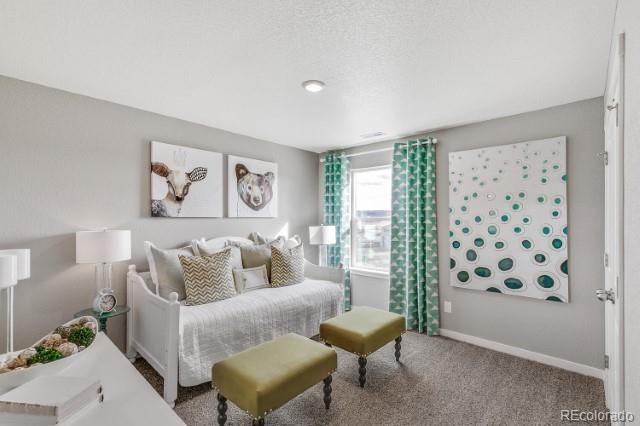MLS Image #9 for 1884  westport avenue,berthoud, Colorado