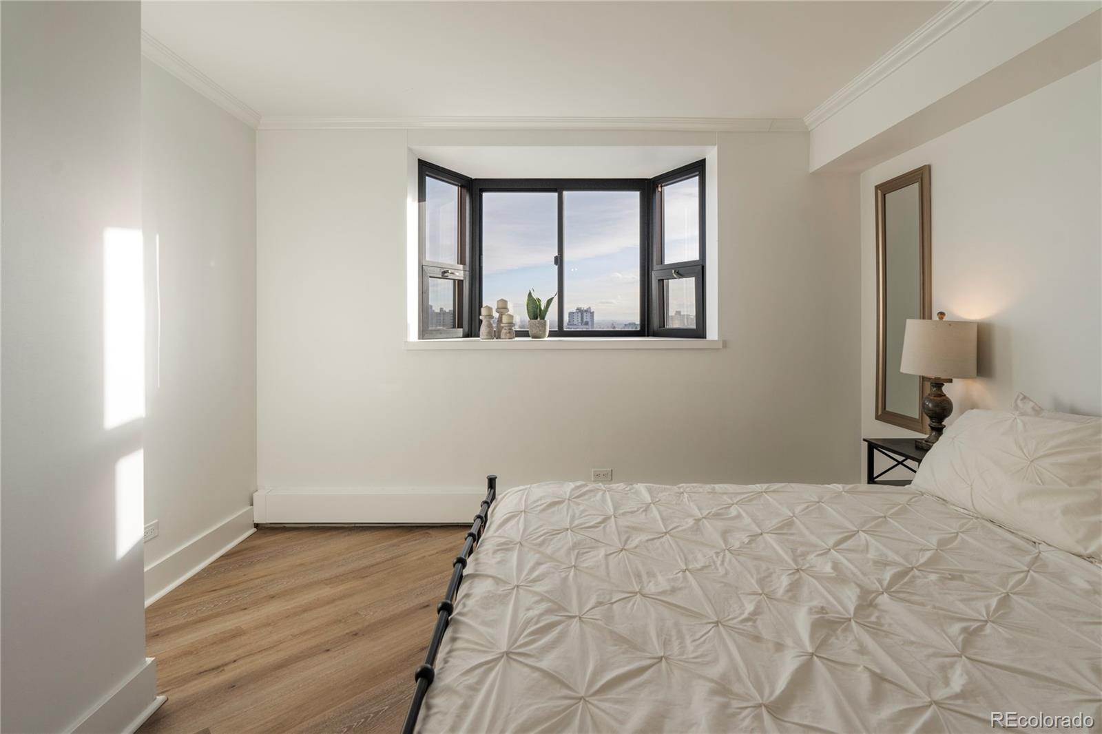 MLS Image #18 for 550 e 12th avenue 1203,denver, Colorado