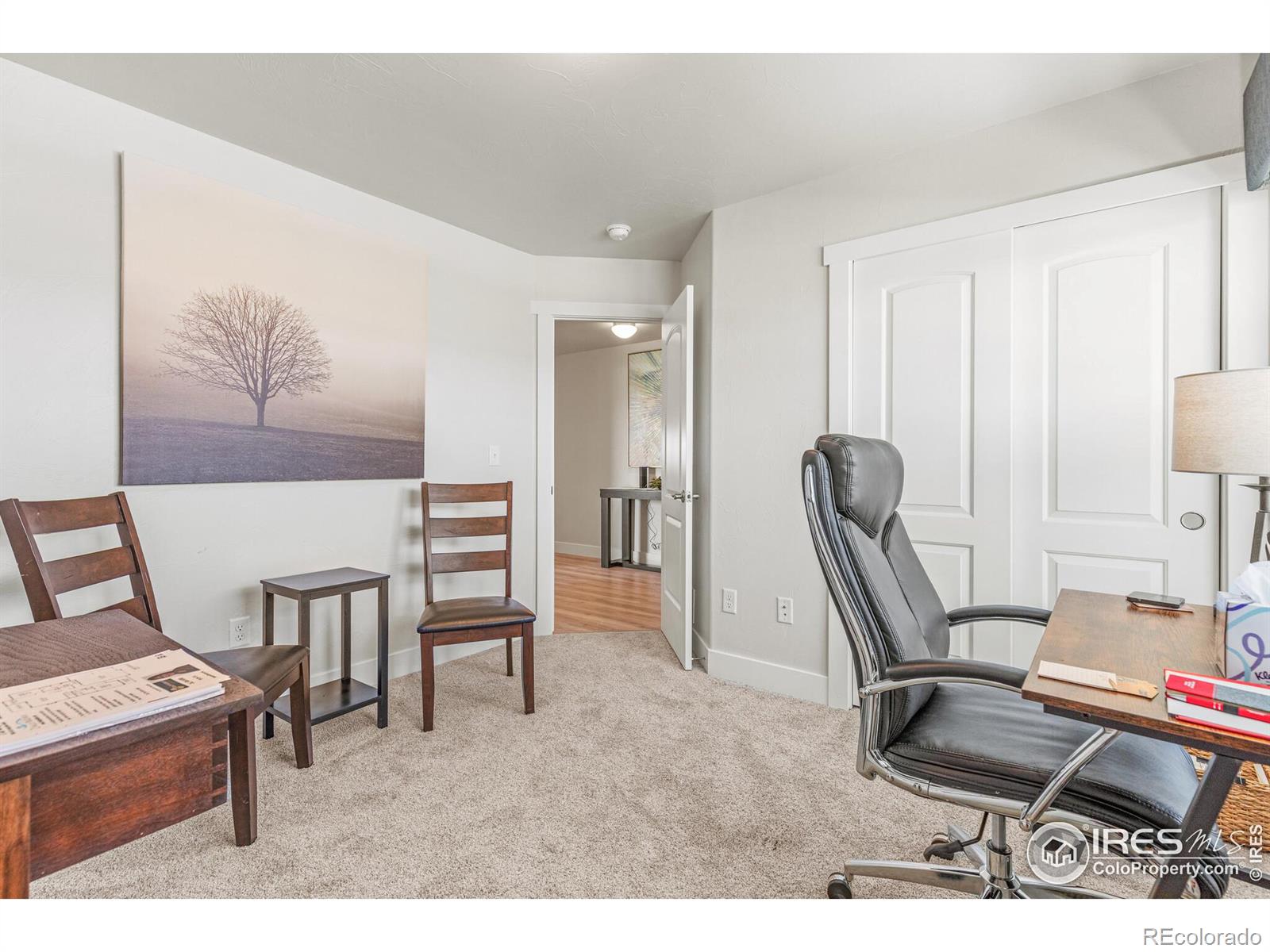MLS Image #14 for 100  sixth avenue,wiggins, Colorado