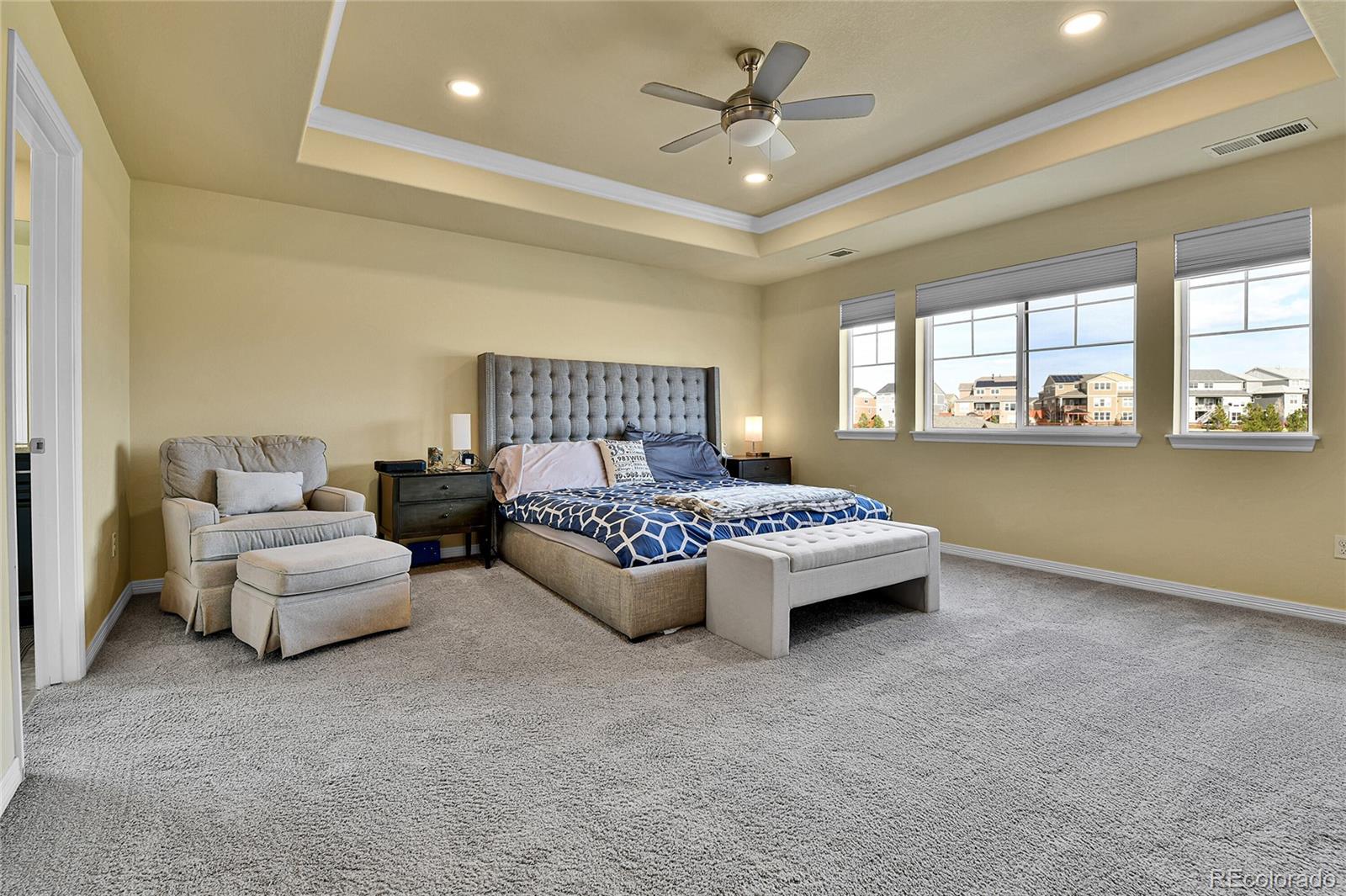 MLS Image #21 for 10052  isle street,parker, Colorado