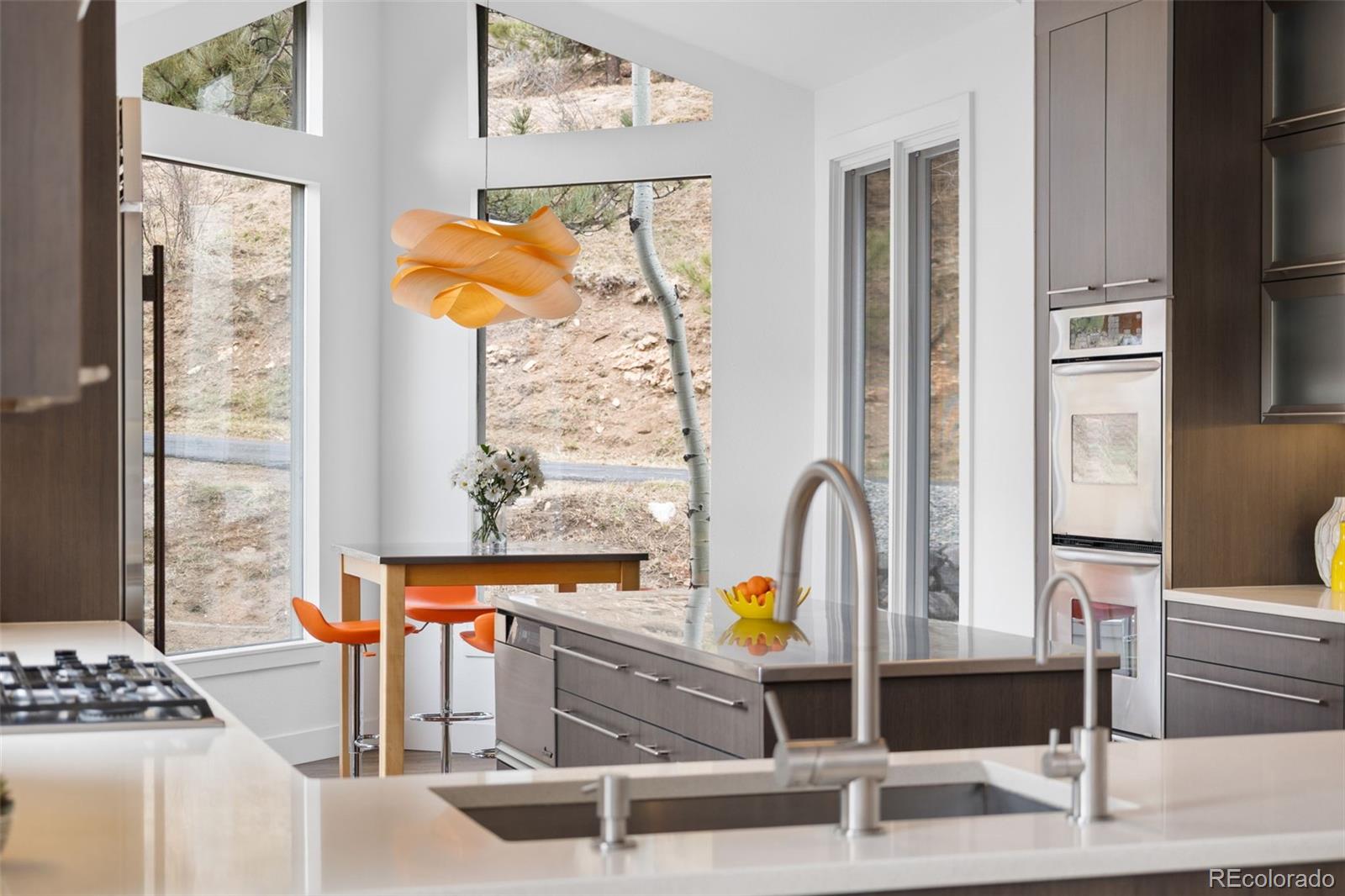 MLS Image #19 for 58  stagecoach boulevard,evergreen, Colorado