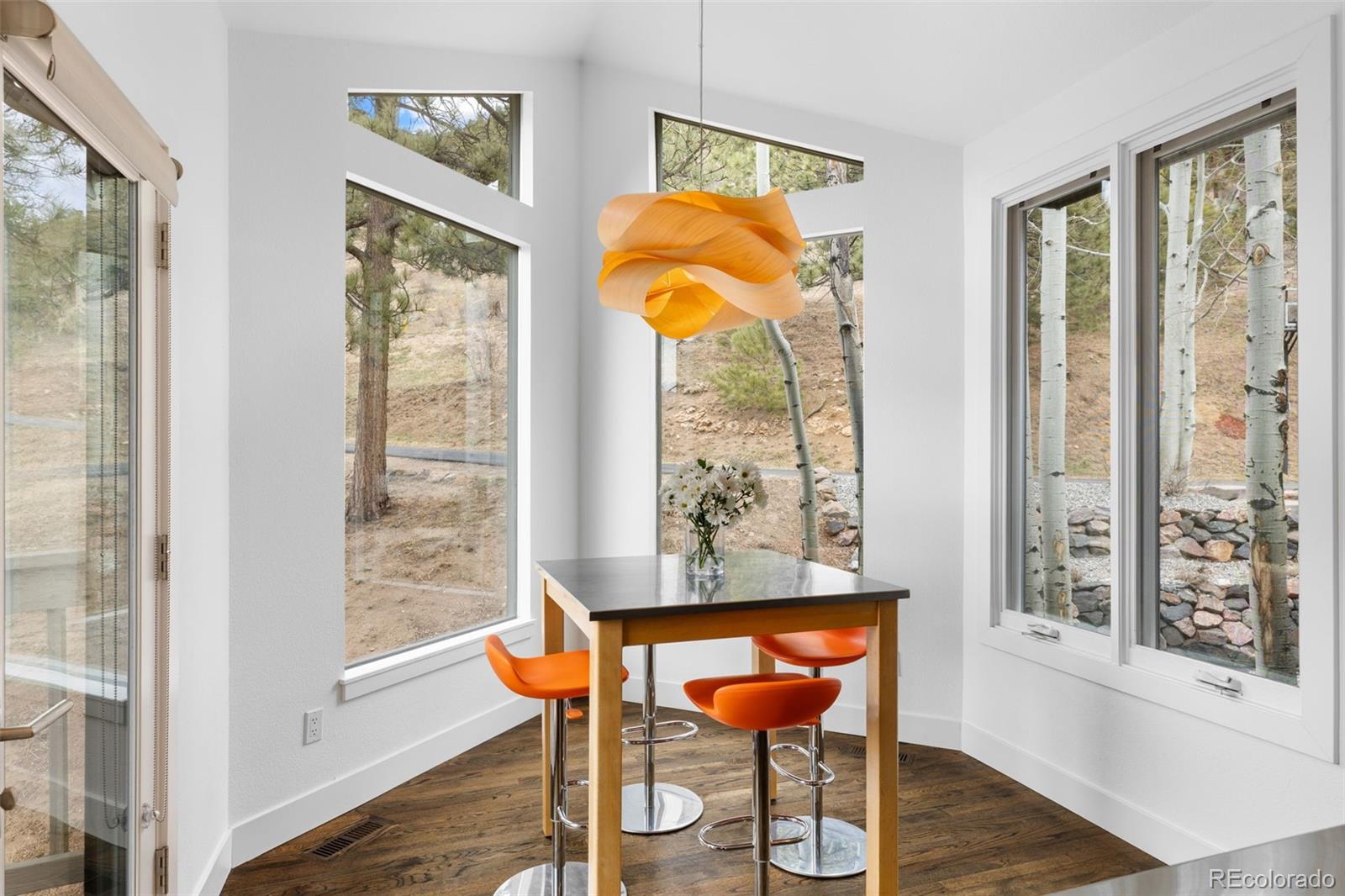 MLS Image #20 for 58  stagecoach boulevard,evergreen, Colorado