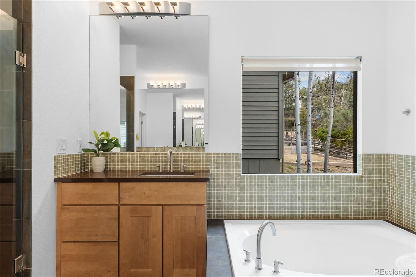 MLS Image #25 for 58  stagecoach boulevard,evergreen, Colorado