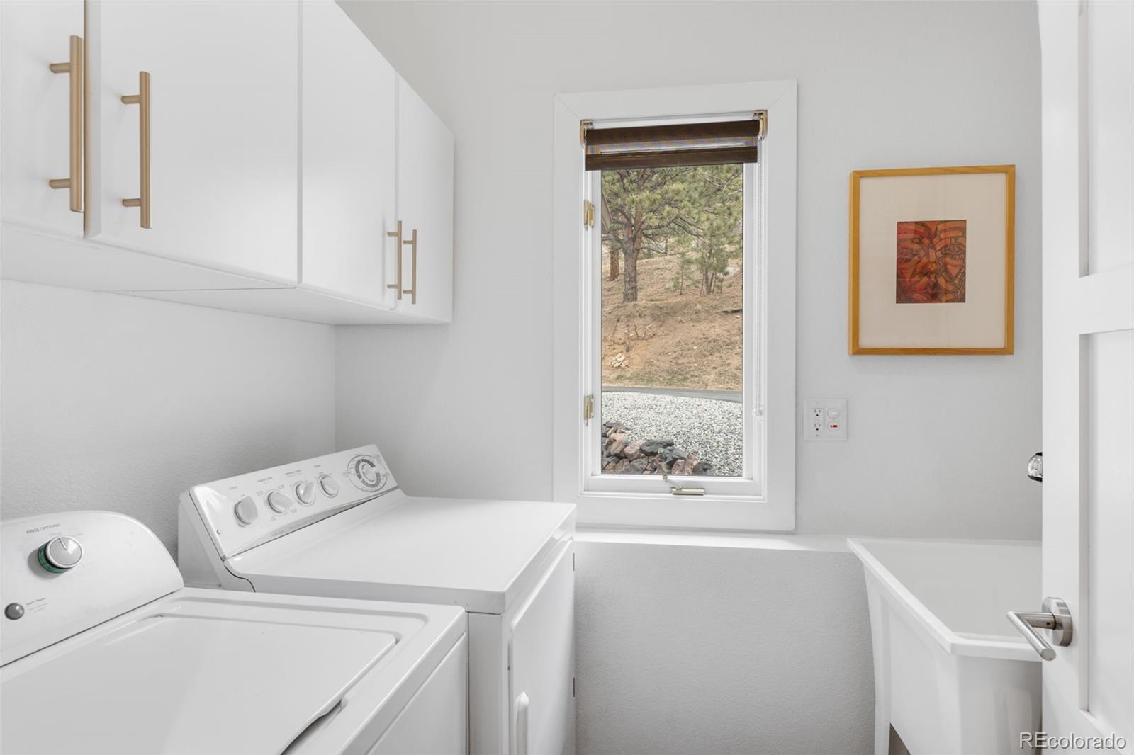 MLS Image #28 for 58  stagecoach boulevard,evergreen, Colorado