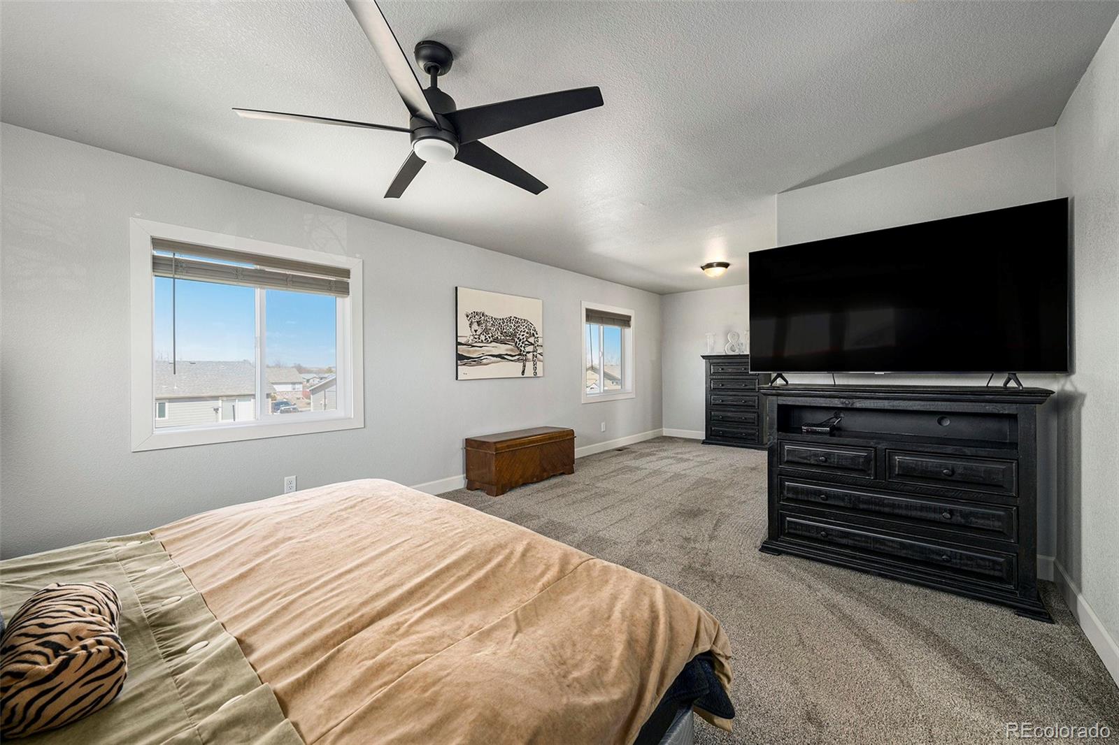 MLS Image #8 for 111 e ilex court,milliken, Colorado
