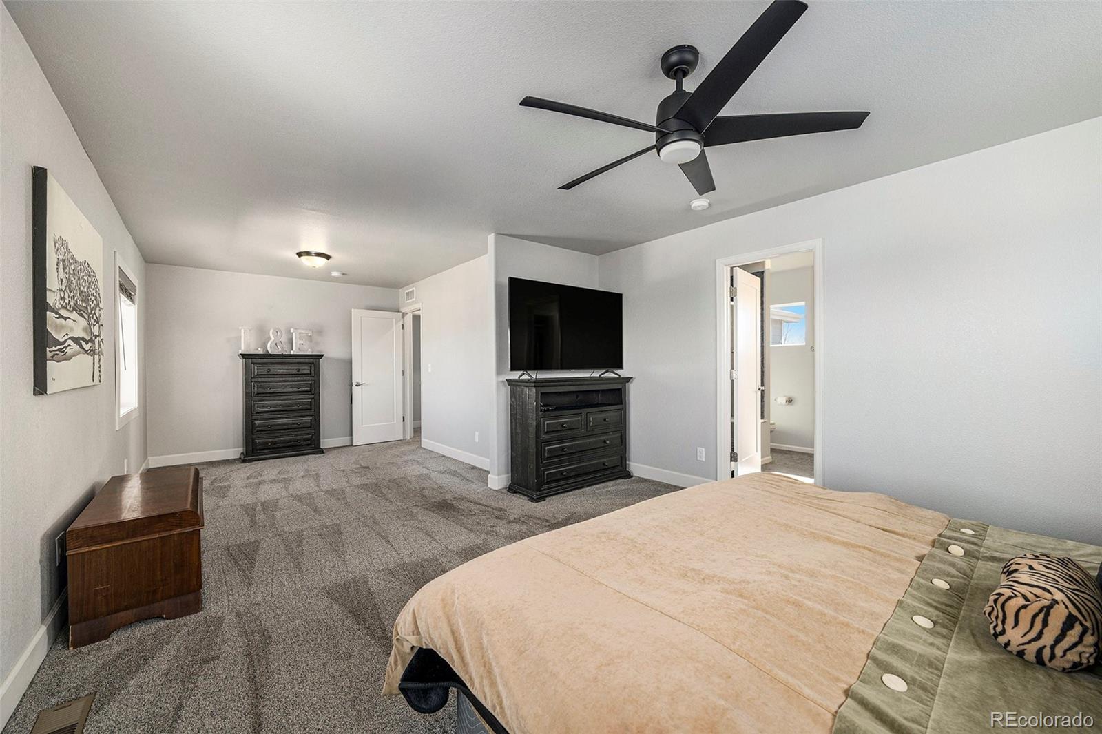 MLS Image #9 for 111 e ilex court,milliken, Colorado