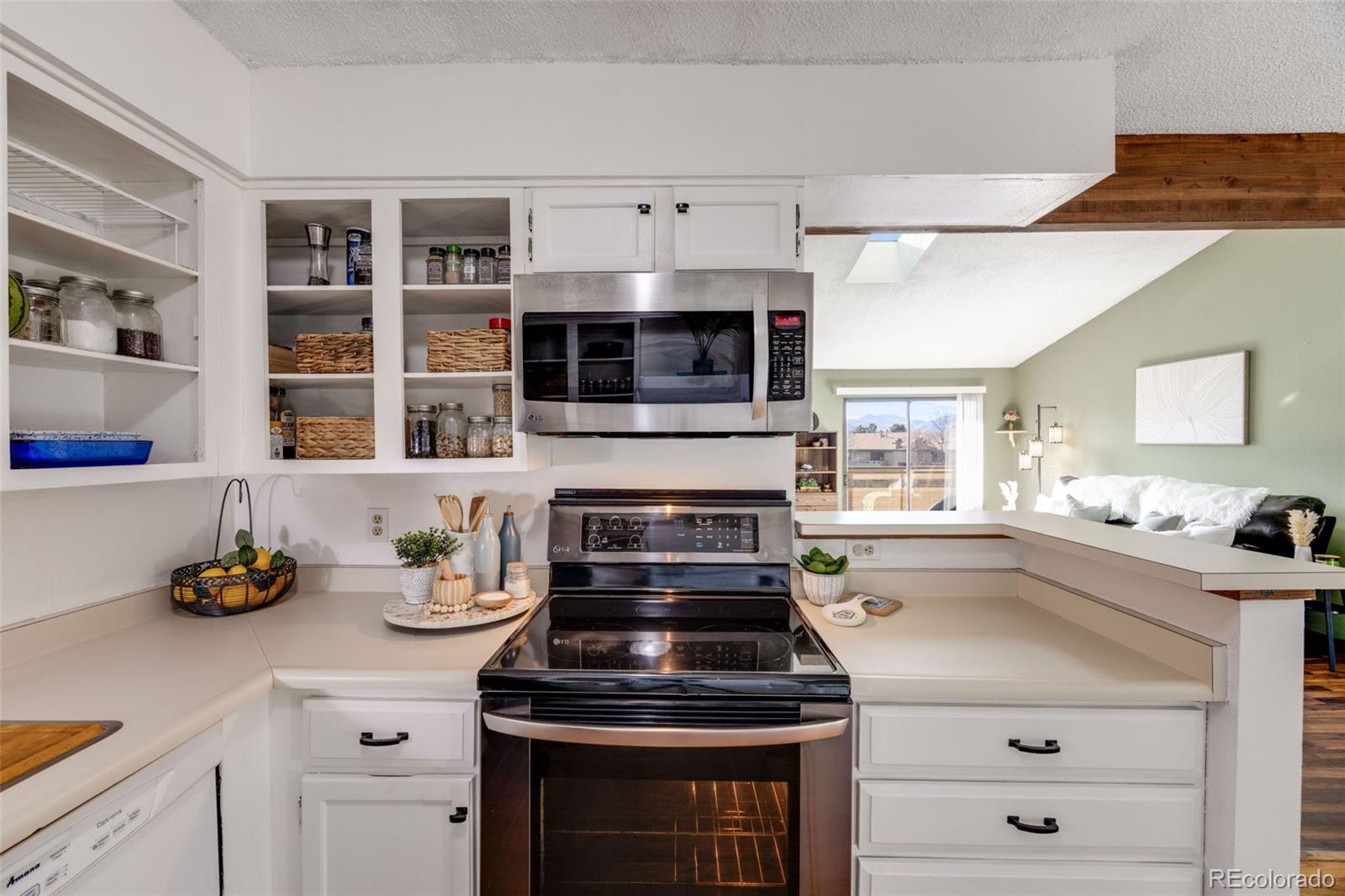 MLS Image #11 for 430  zang street,lakewood, Colorado