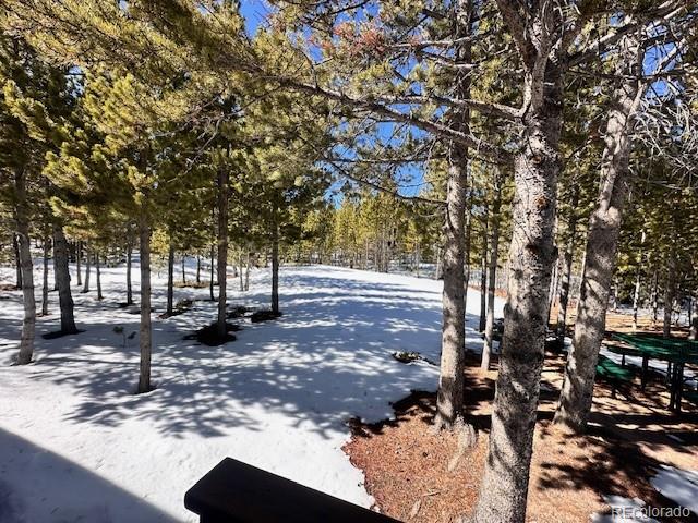 MLS Image #27 for 483  hatchetumi drive,red feather lakes, Colorado