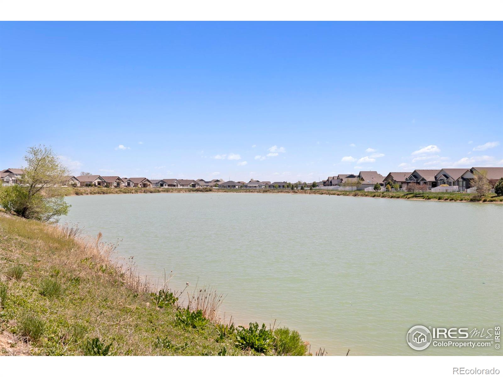 MLS Image #34 for 480  boxwood drive,windsor, Colorado