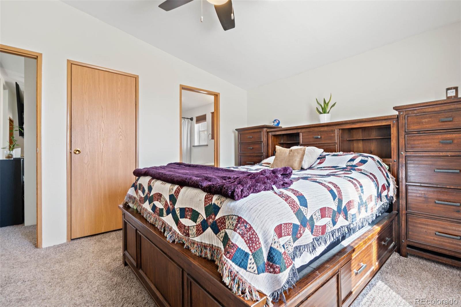 MLS Image #10 for 104  winnipeg street,lochbuie, Colorado