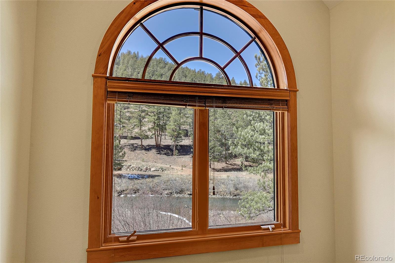 MLS Image #6 for 29292  crystal ridge road,pine, Colorado