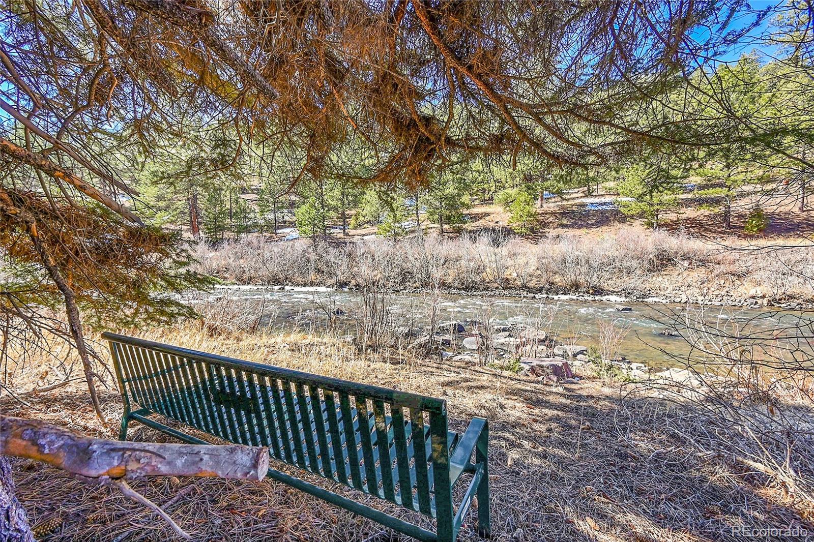 MLS Image #8 for 29292  crystal ridge road,pine, Colorado