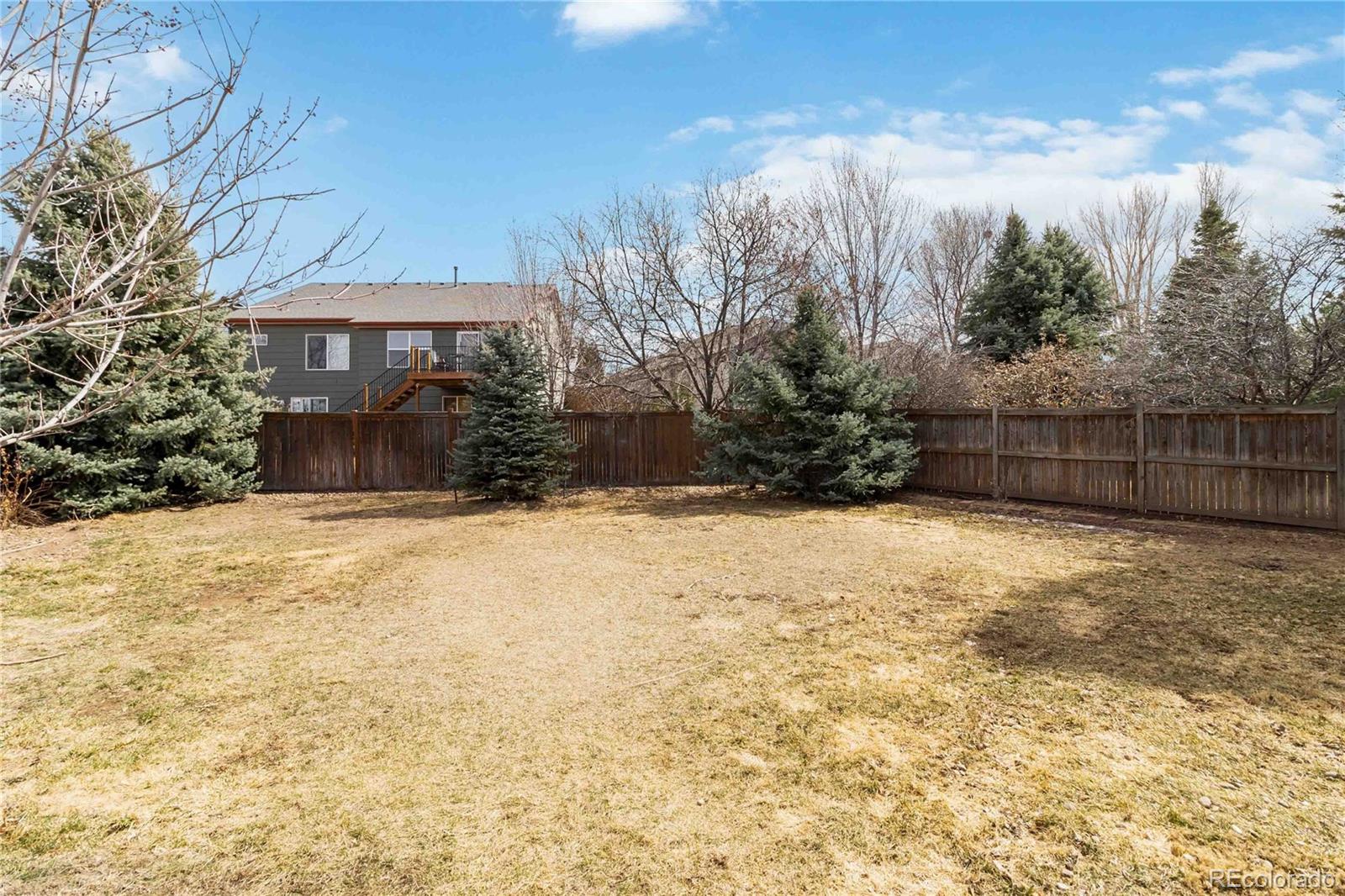 MLS Image #28 for 5402  sweet grass court,castle rock, Colorado