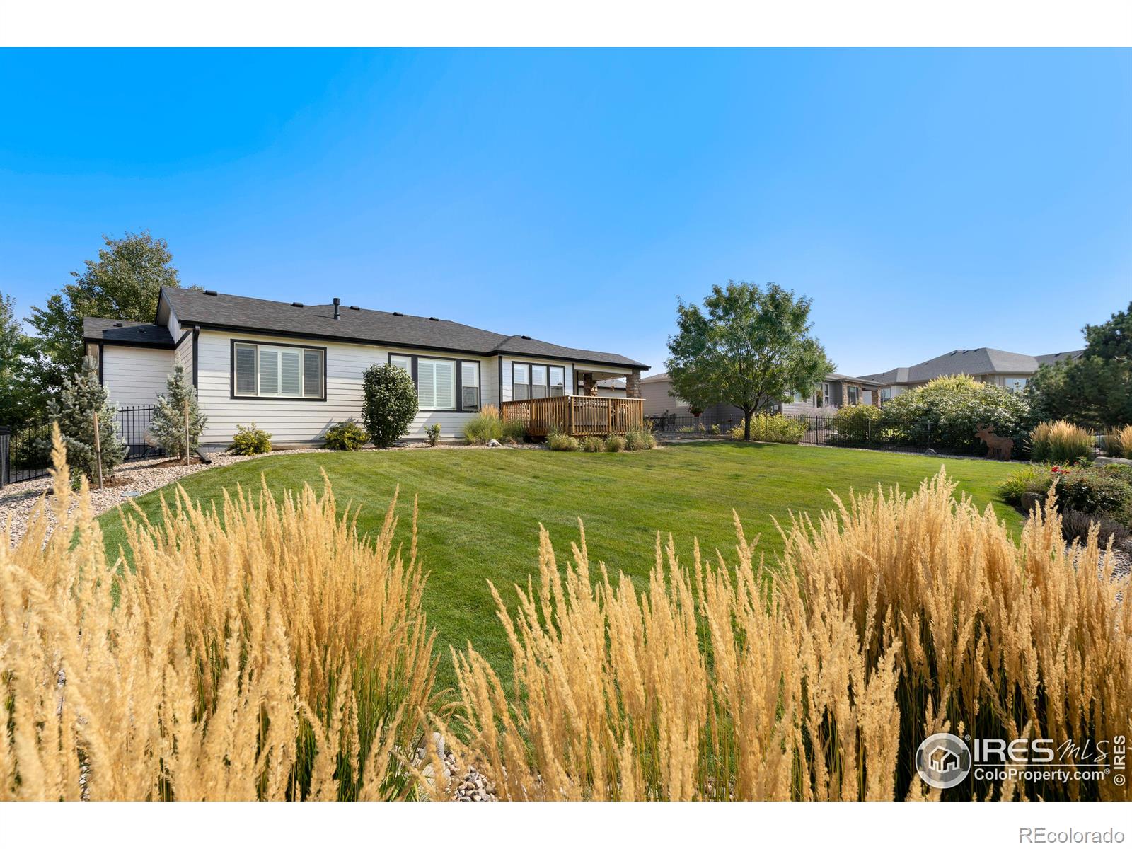 MLS Image #28 for 7304  crystal downs drive,windsor, Colorado