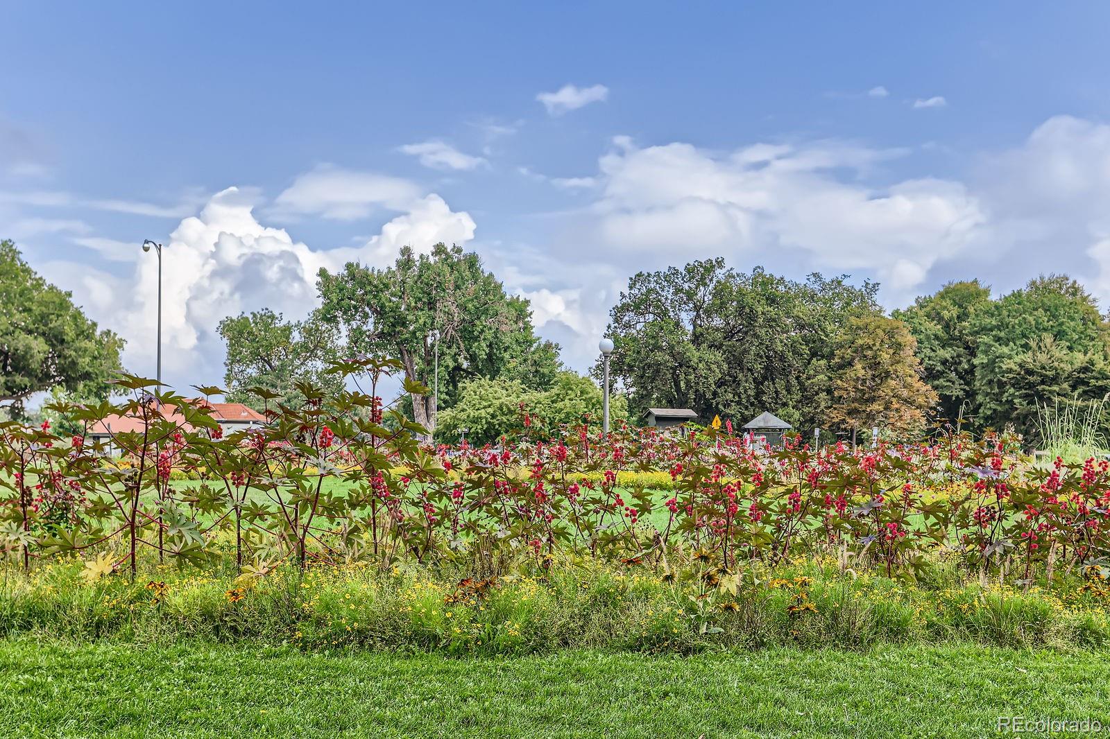 MLS Image #37 for 579 s sherman street,denver, Colorado