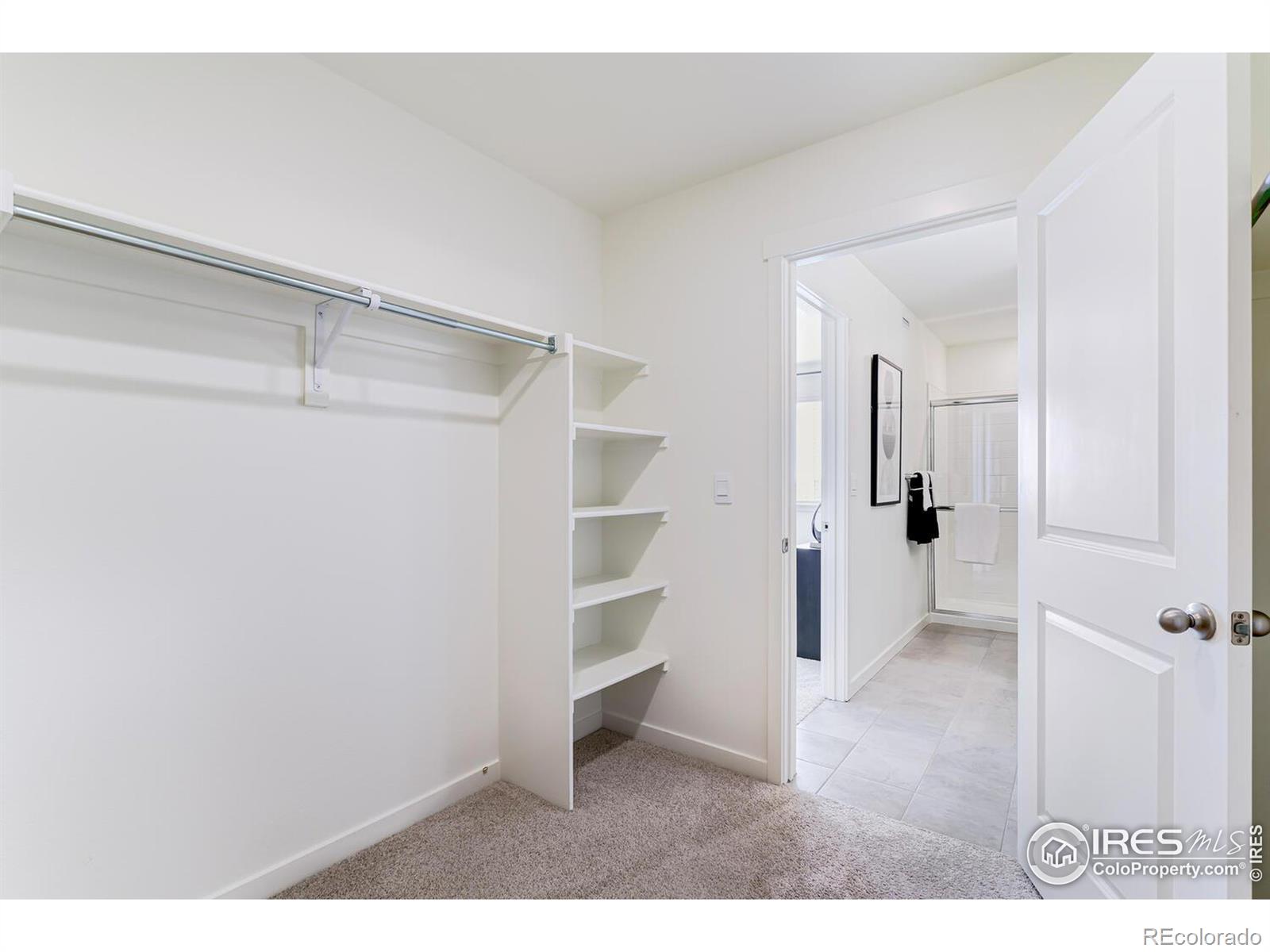 MLS Image #23 for 950  hoptree court,johnstown, Colorado