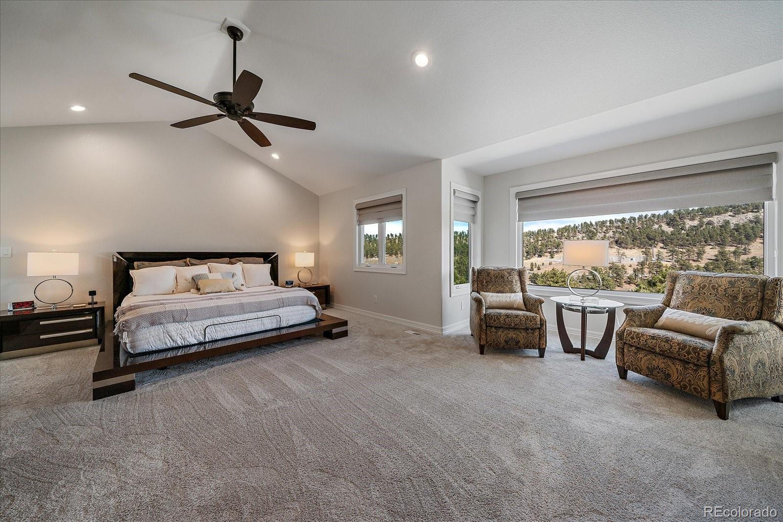 MLS Image #16 for 1366  killington court,evergreen, Colorado