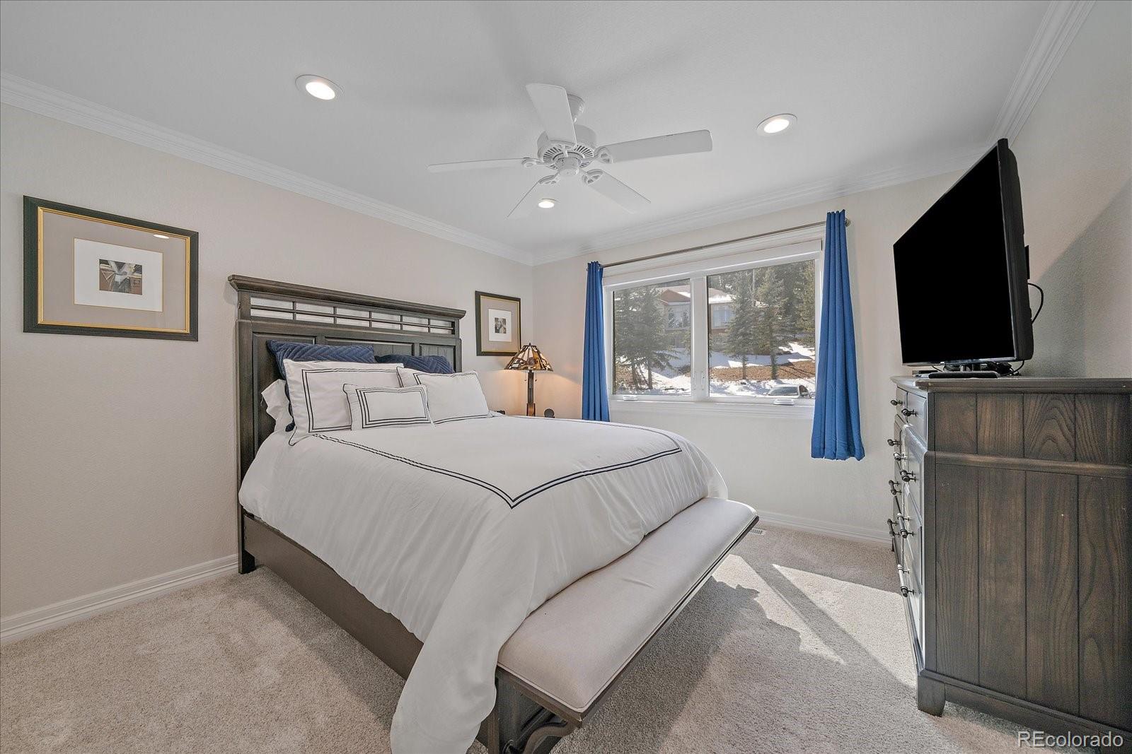 MLS Image #23 for 1366  killington court,evergreen, Colorado