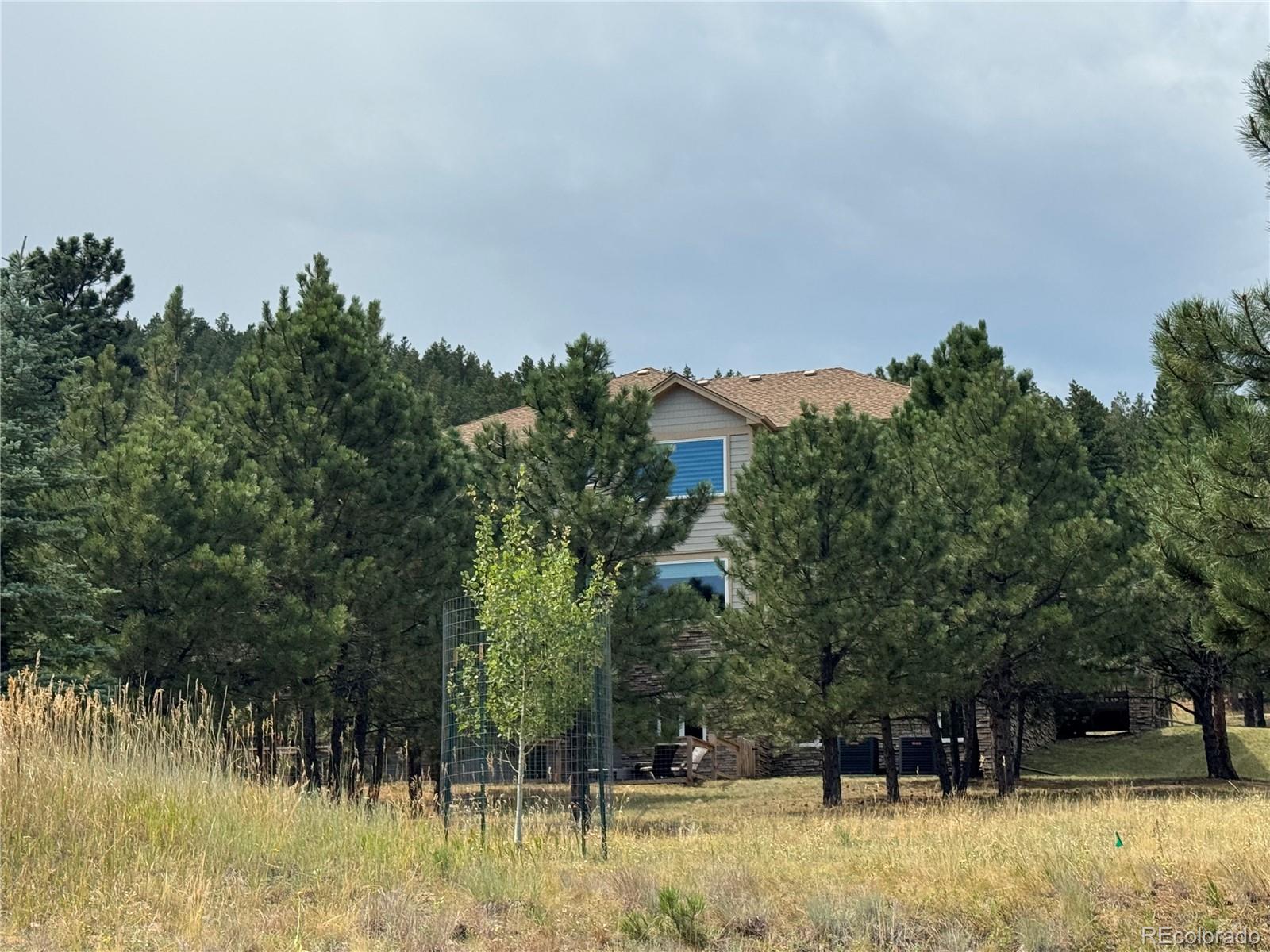 MLS Image #46 for 1366  killington court,evergreen, Colorado