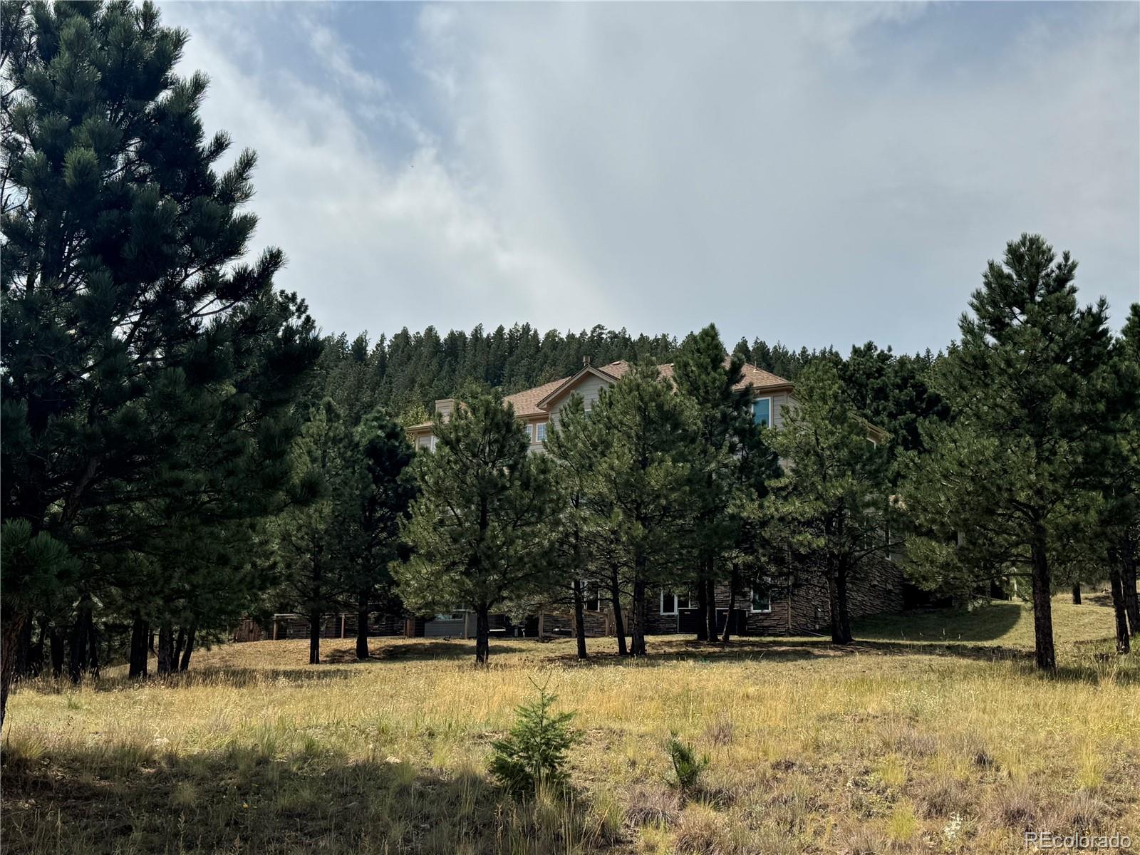 MLS Image #47 for 1366  killington court,evergreen, Colorado