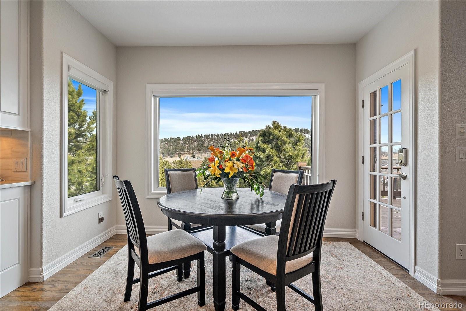MLS Image #7 for 1366  killington court,evergreen, Colorado