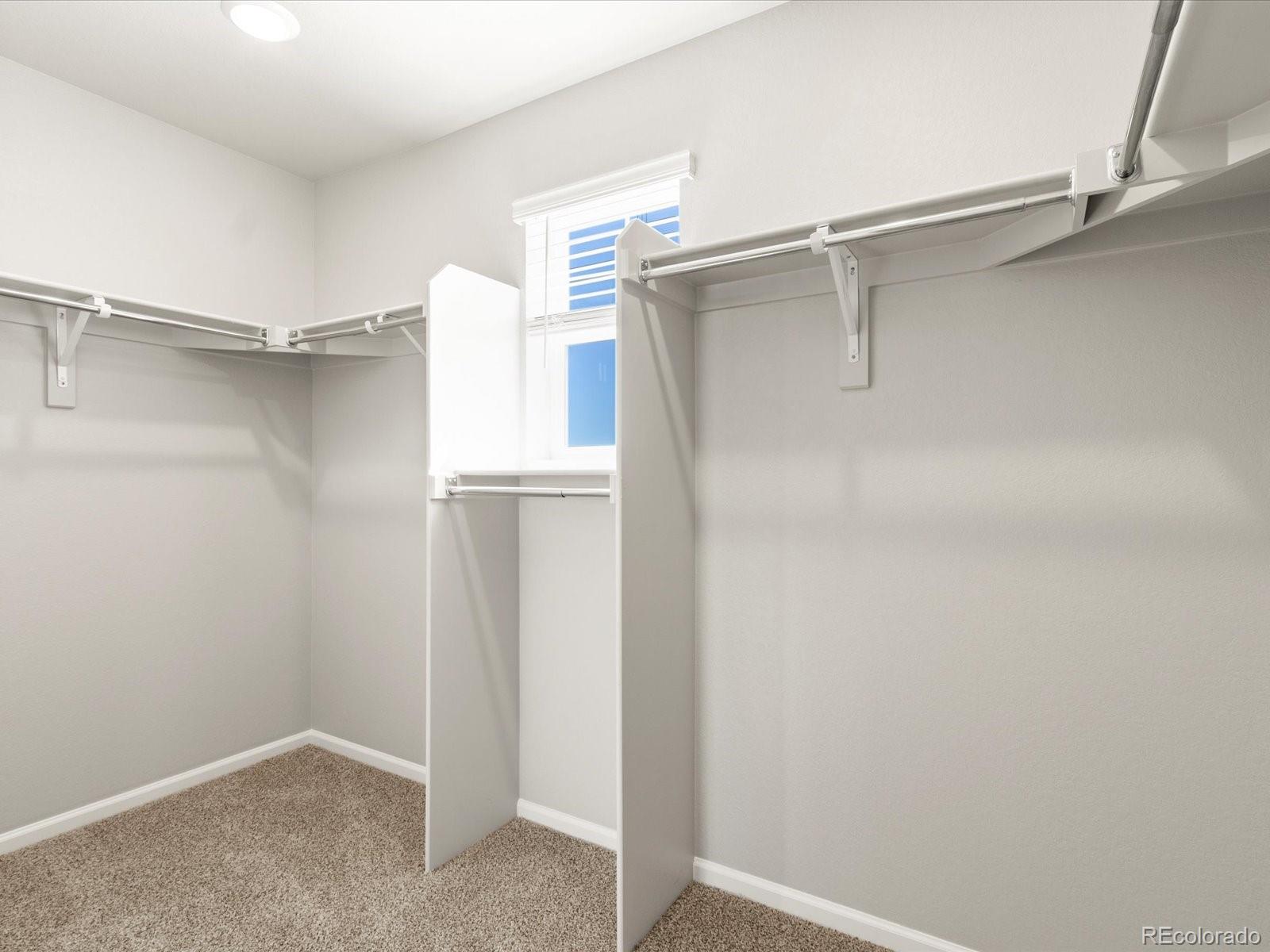 MLS Image #27 for 4659  goldflower drive,johnstown, Colorado