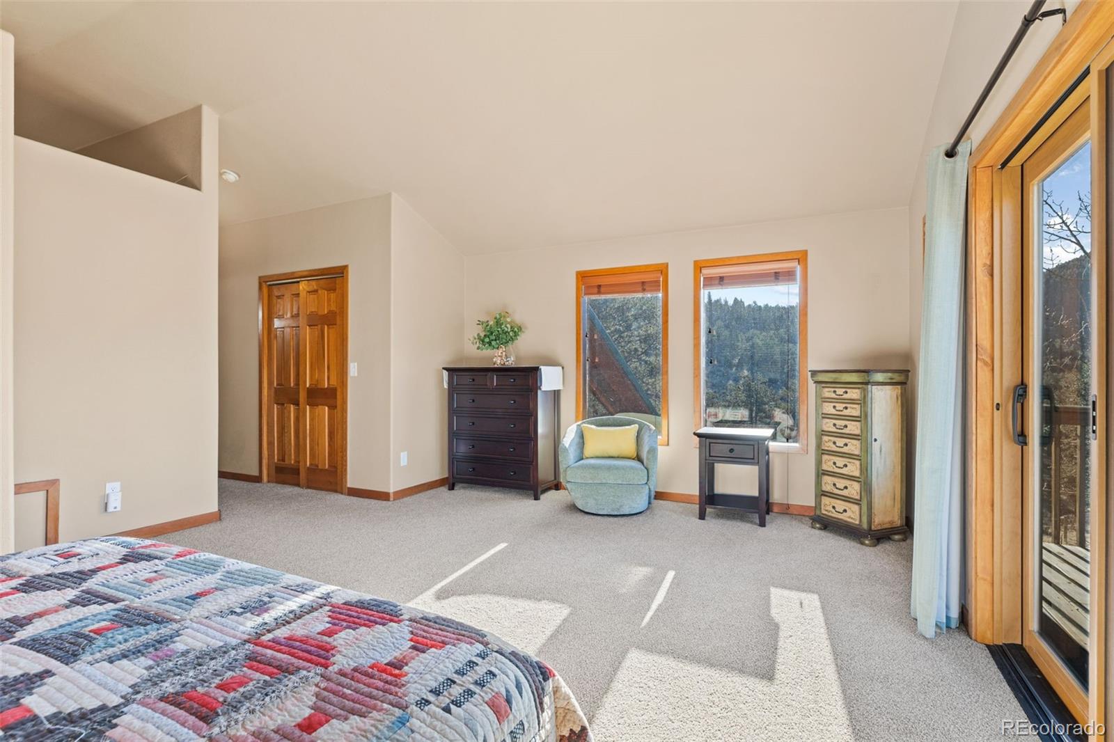 MLS Image #13 for 100  mable lane,bailey, Colorado