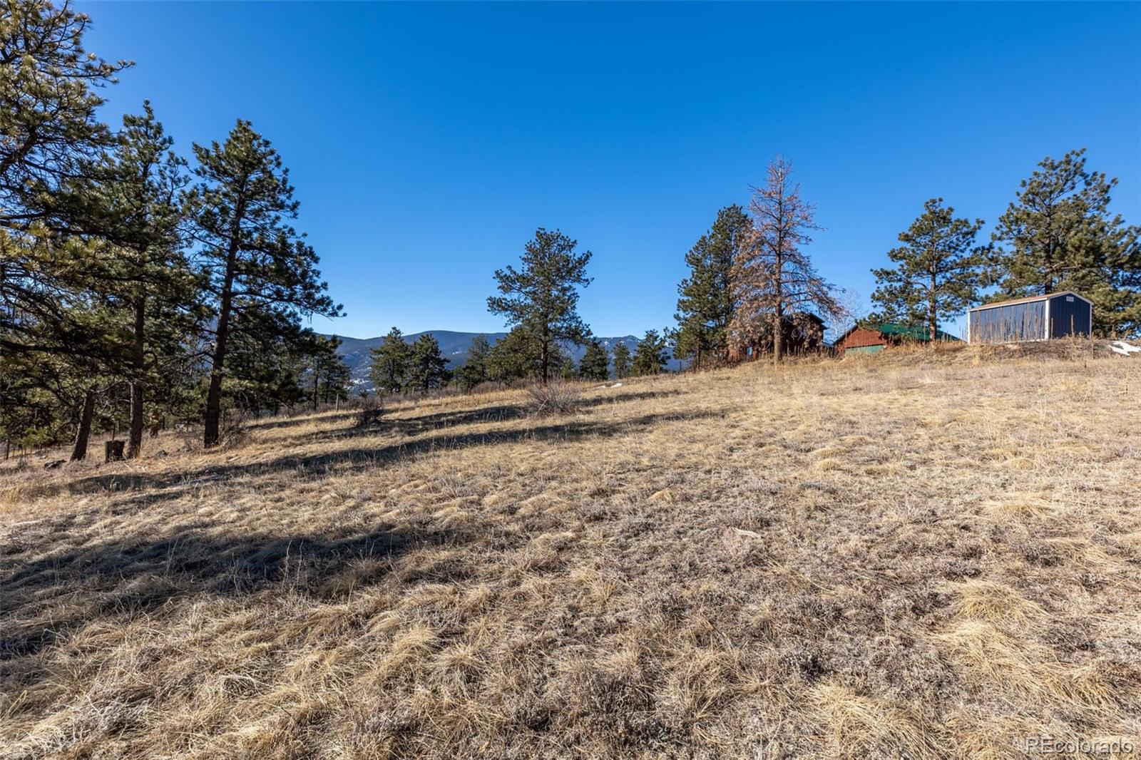 MLS Image #16 for 100  mable lane,bailey, Colorado